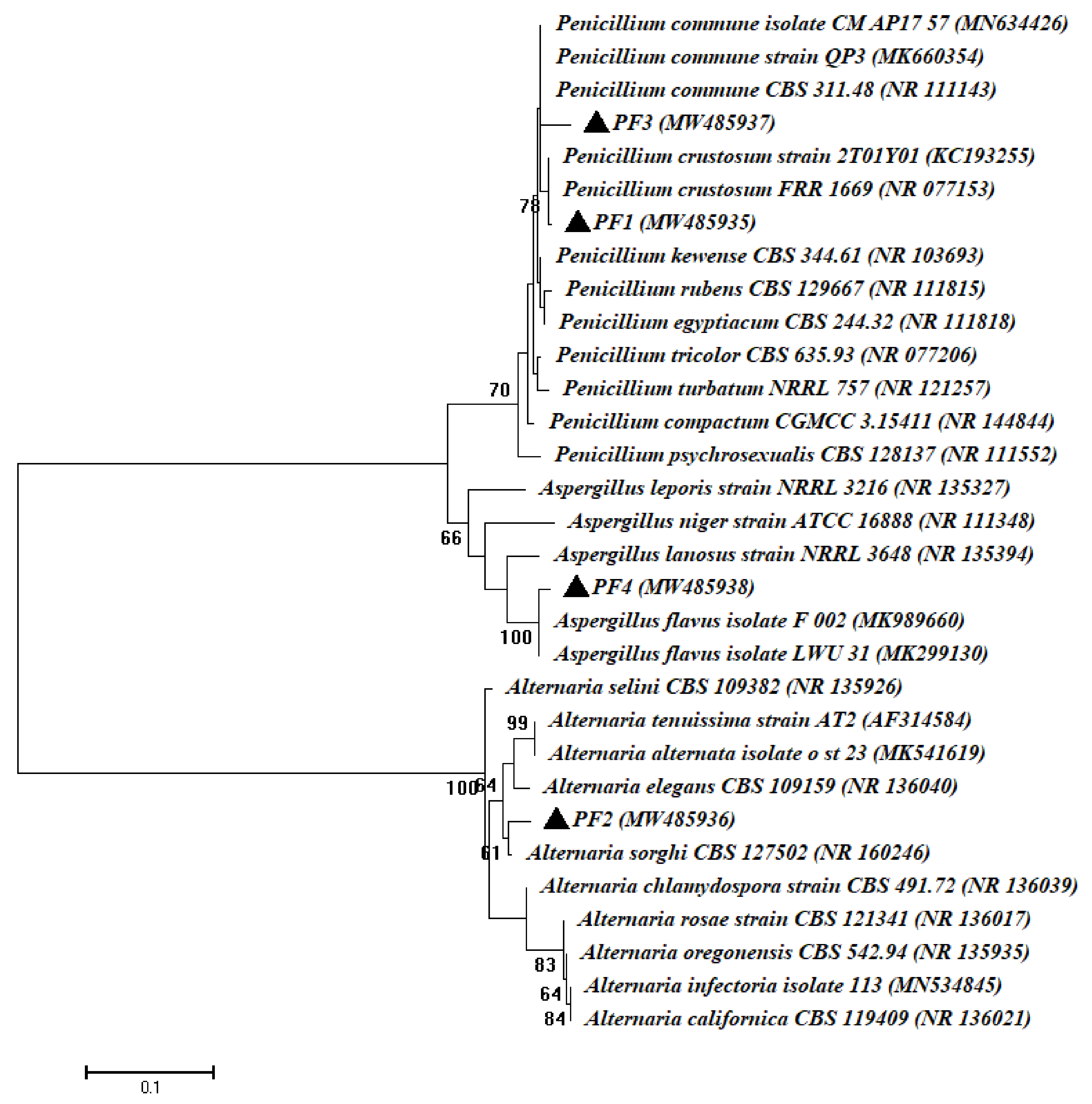 Cells 10 01059 g002 Cells 10 01059 g002