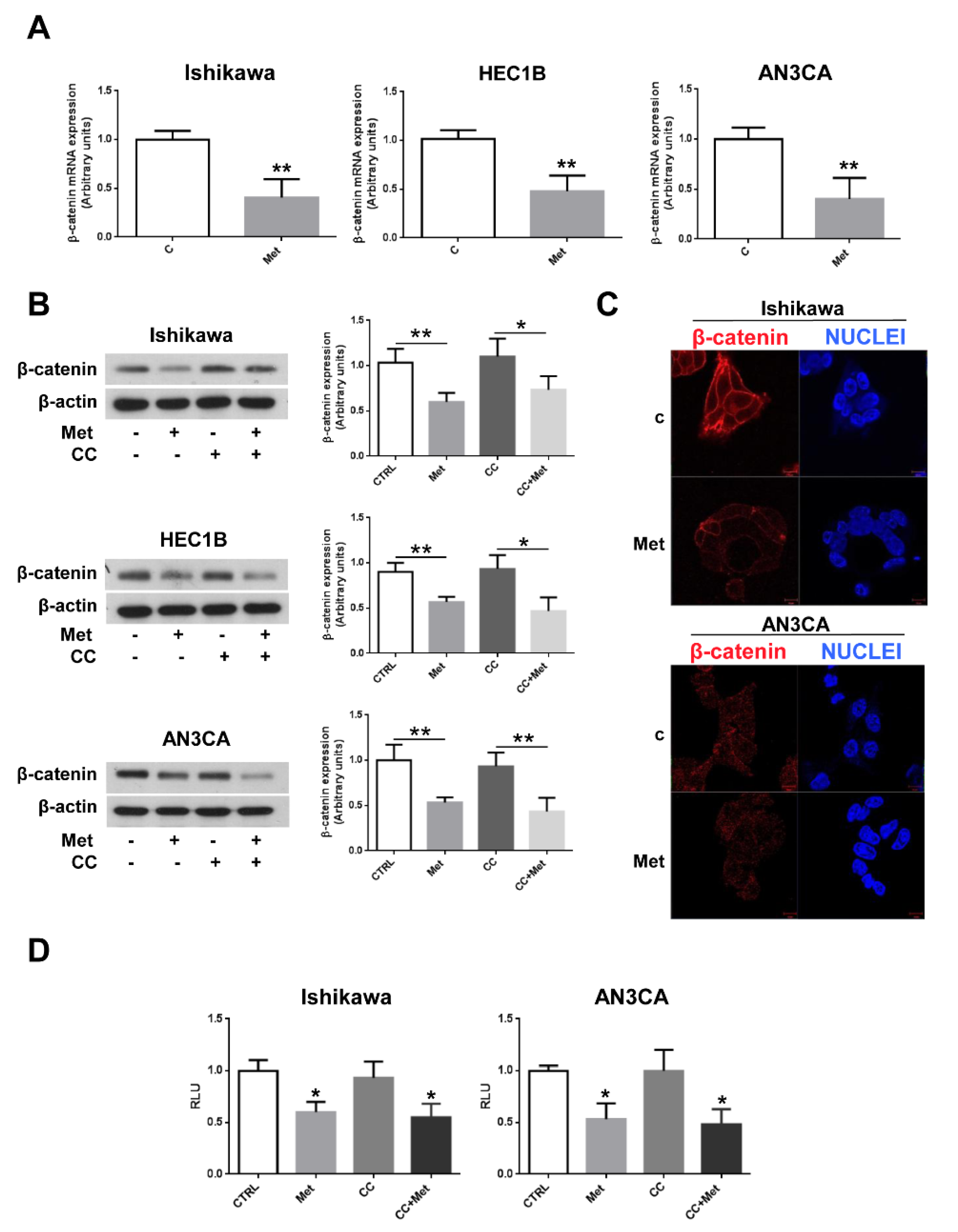 Cells 10 01067 g005 Cells 10 01067 g005