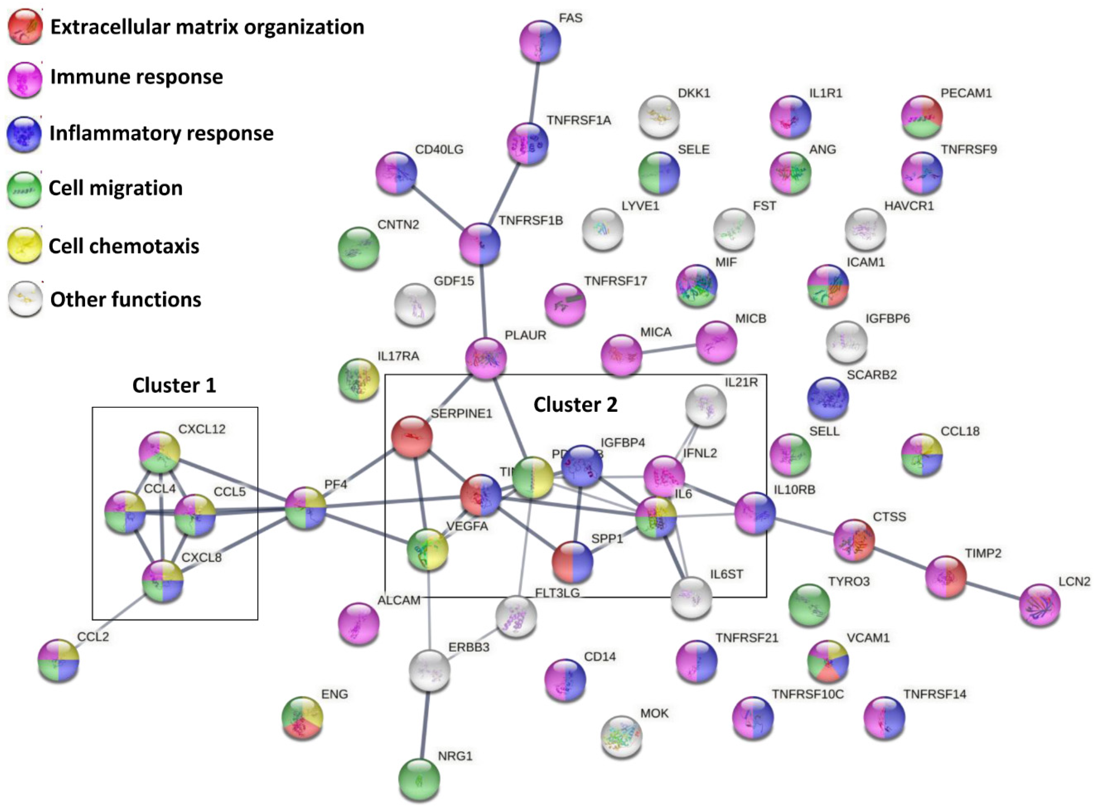Cells 10 01072 g002 Cells 10 01072 g002