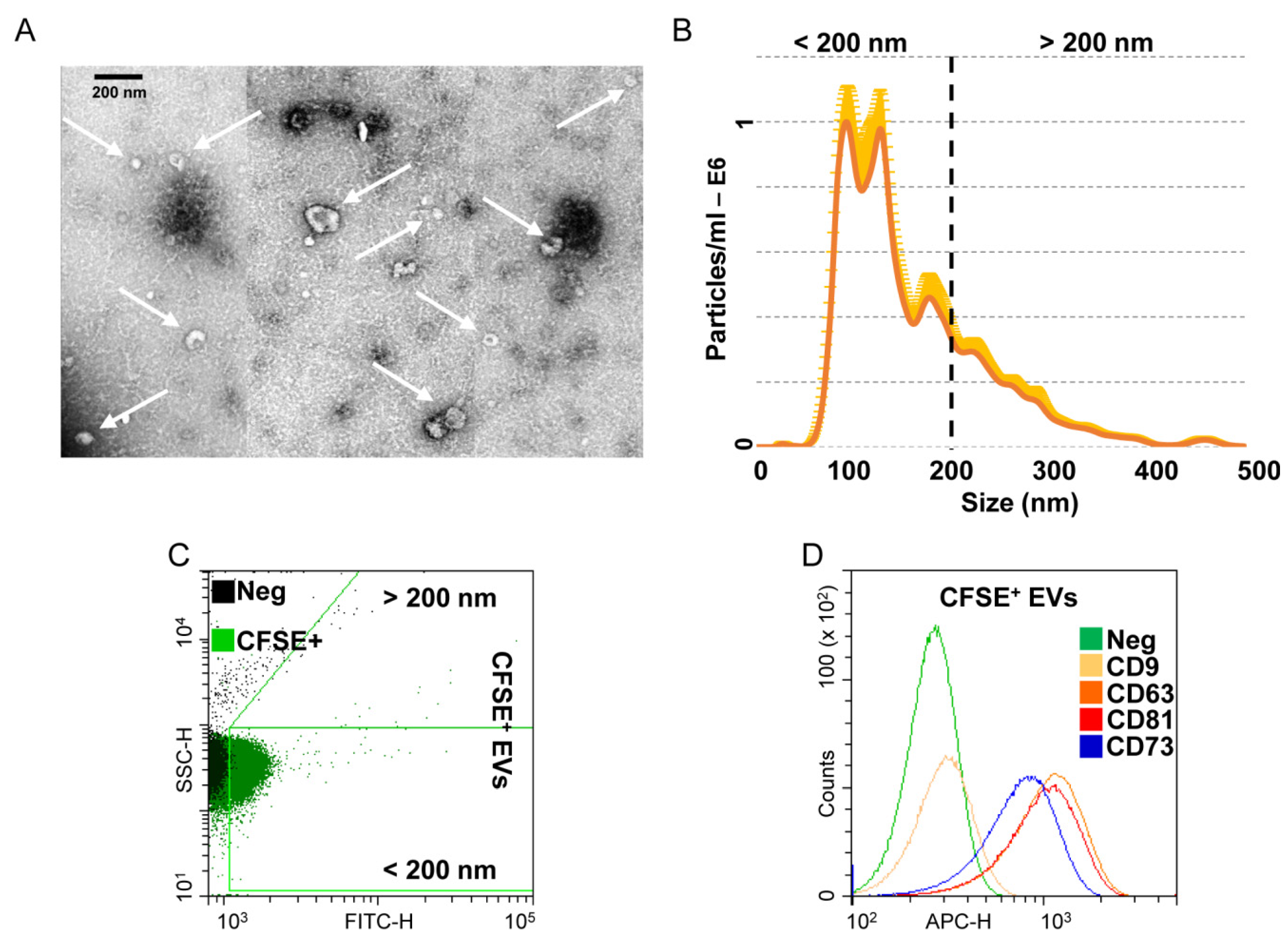 Cells 10 01072 g003 Cells 10 01072 g003