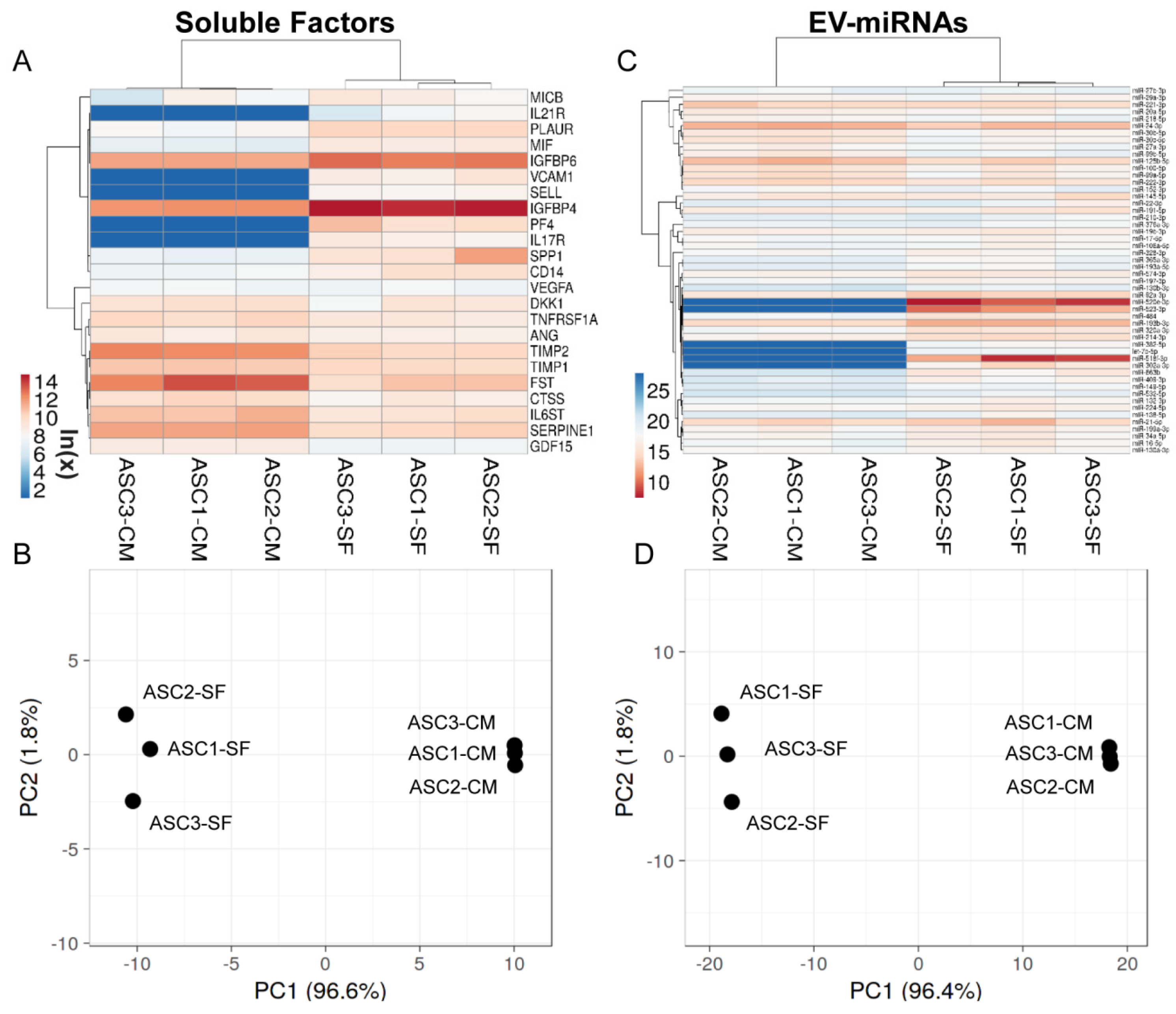 Cells 10 01072 g006 Cells 10 01072 g006