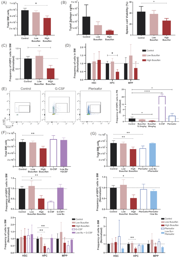 Cells 10 01077 g003 Cells 10 01077 g003