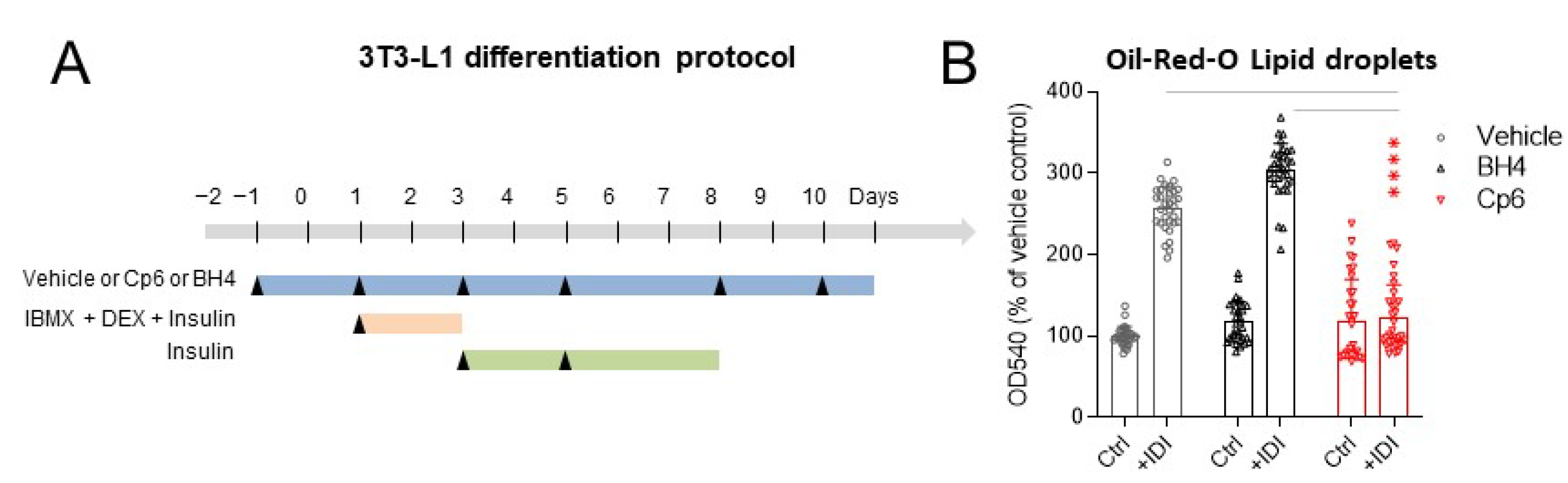 Cells 10 01081 g003a Cells 10 01081 g003a