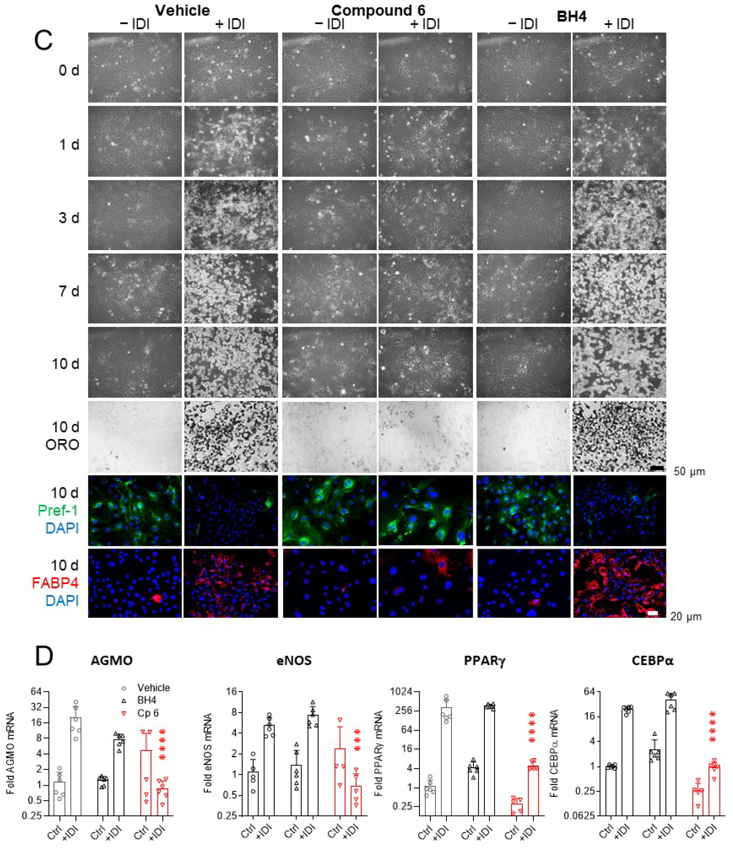 Cells 10 01081 g003b Cells 10 01081 g003b