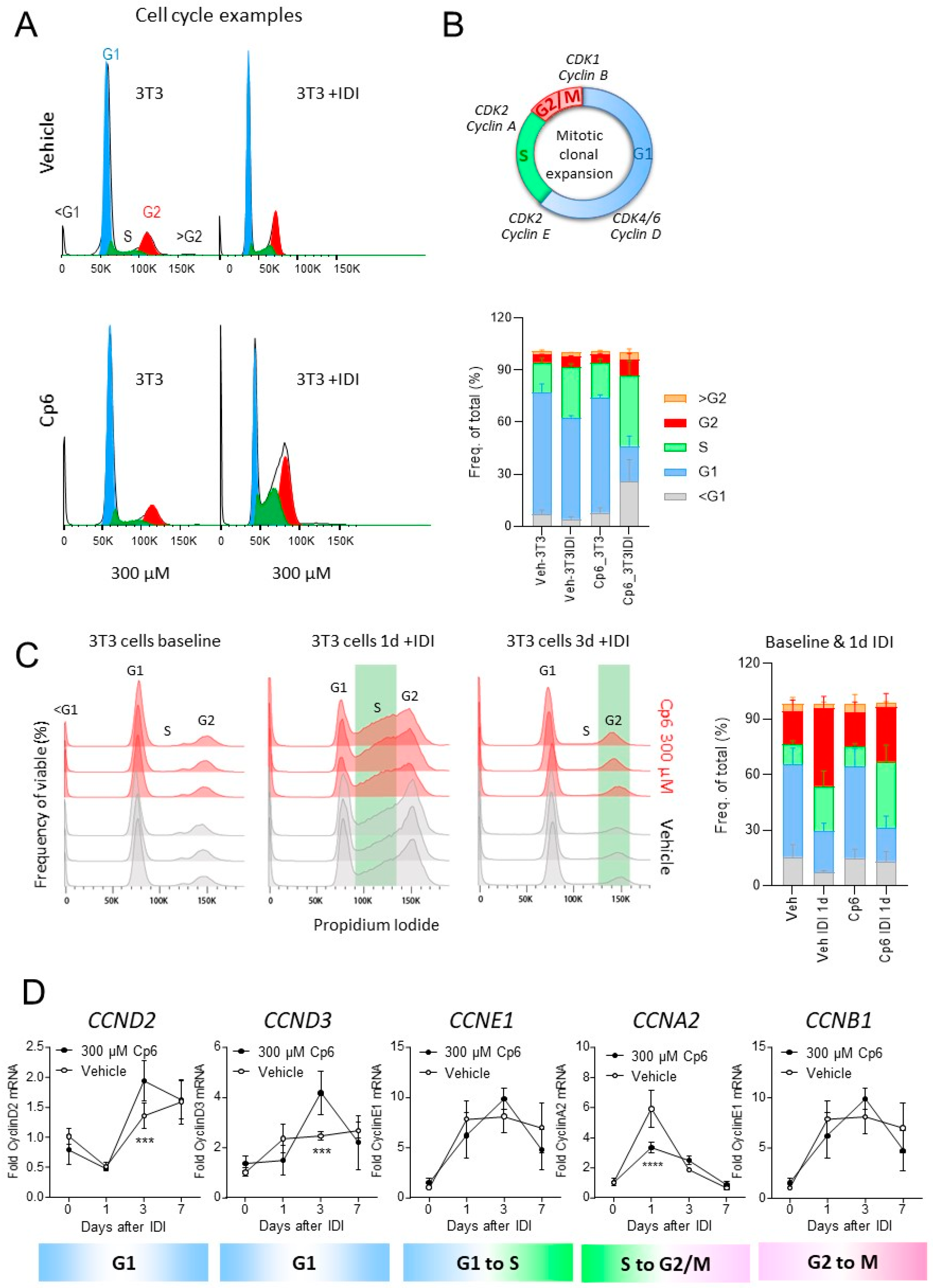 Cells 10 01081 g004 Cells 10 01081 g004