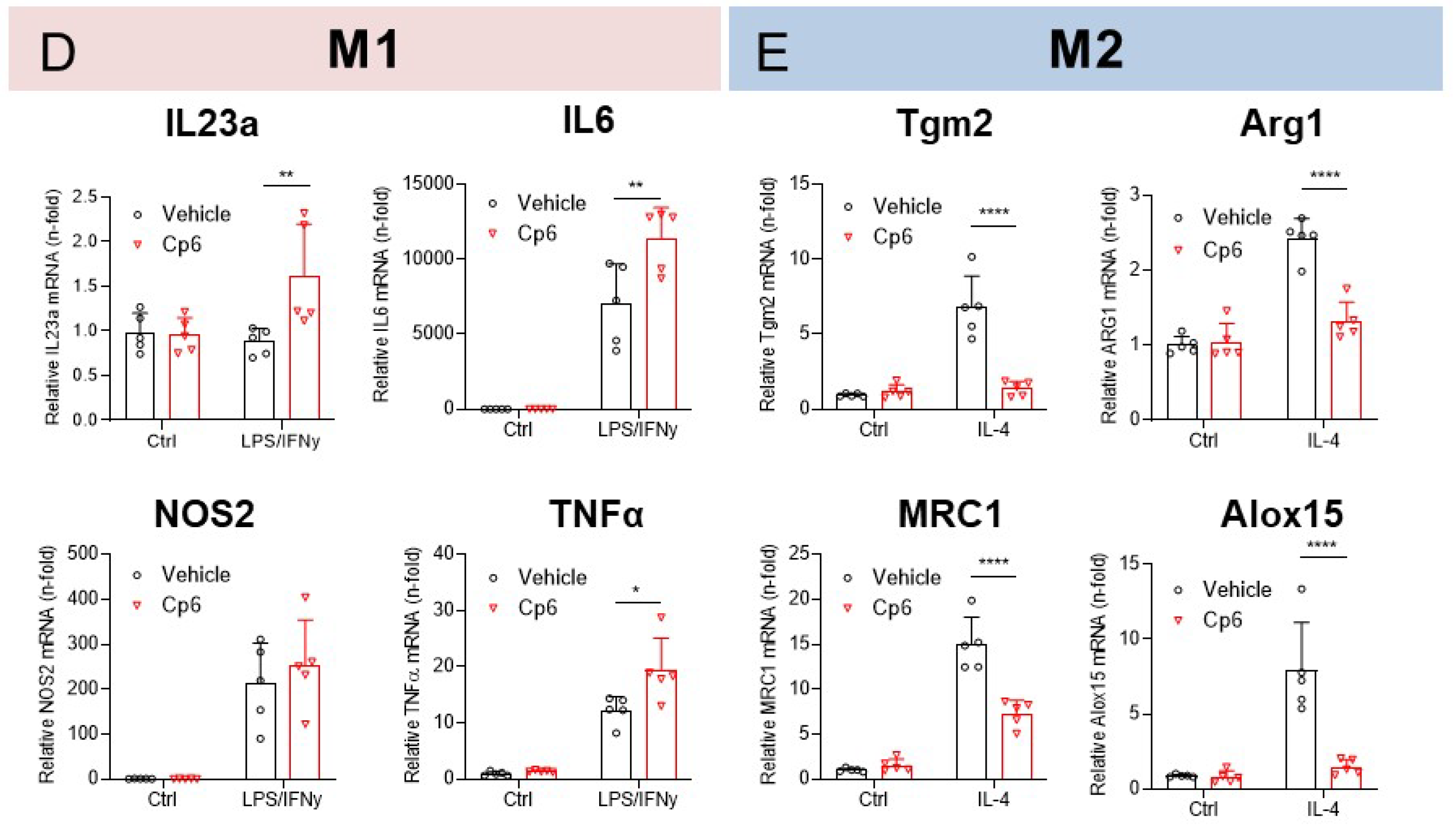 Cells 10 01081 g005b Cells 10 01081 g005b