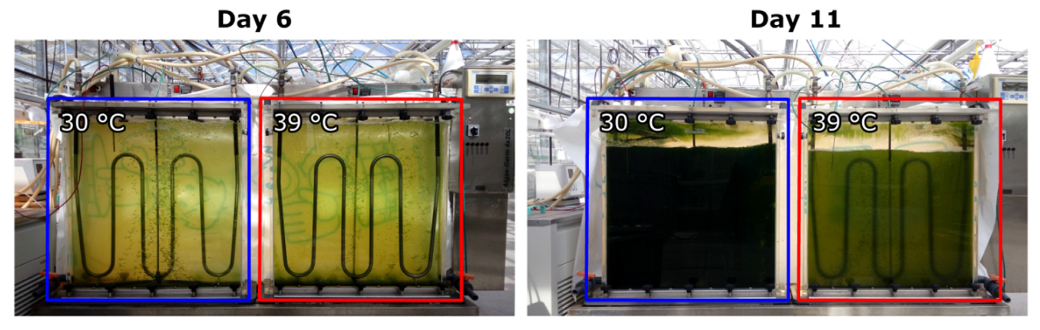 Cells 10 01084 g001 Cells 10 01084 g001