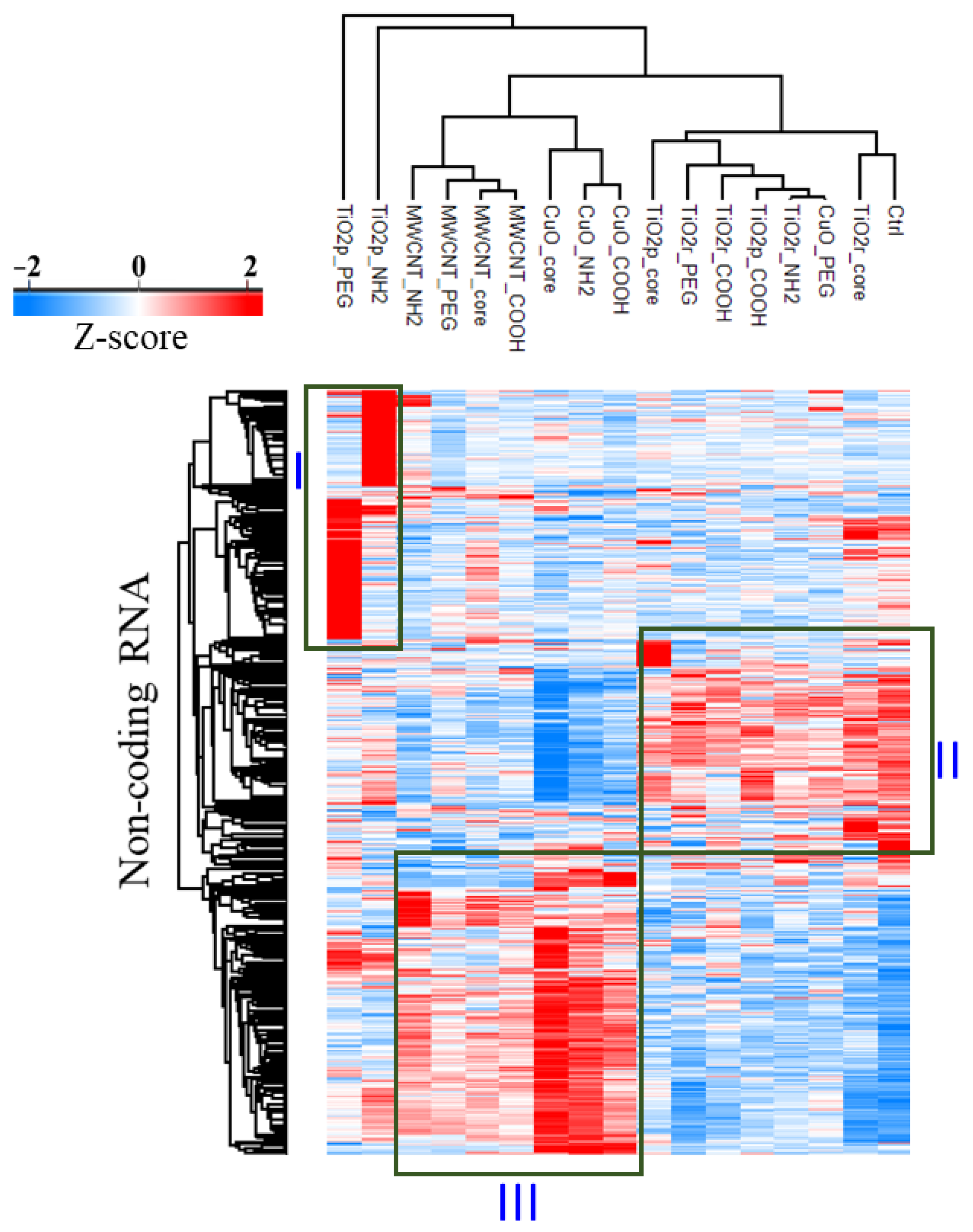 Cells 10 01085 g002 Cells 10 01085 g002