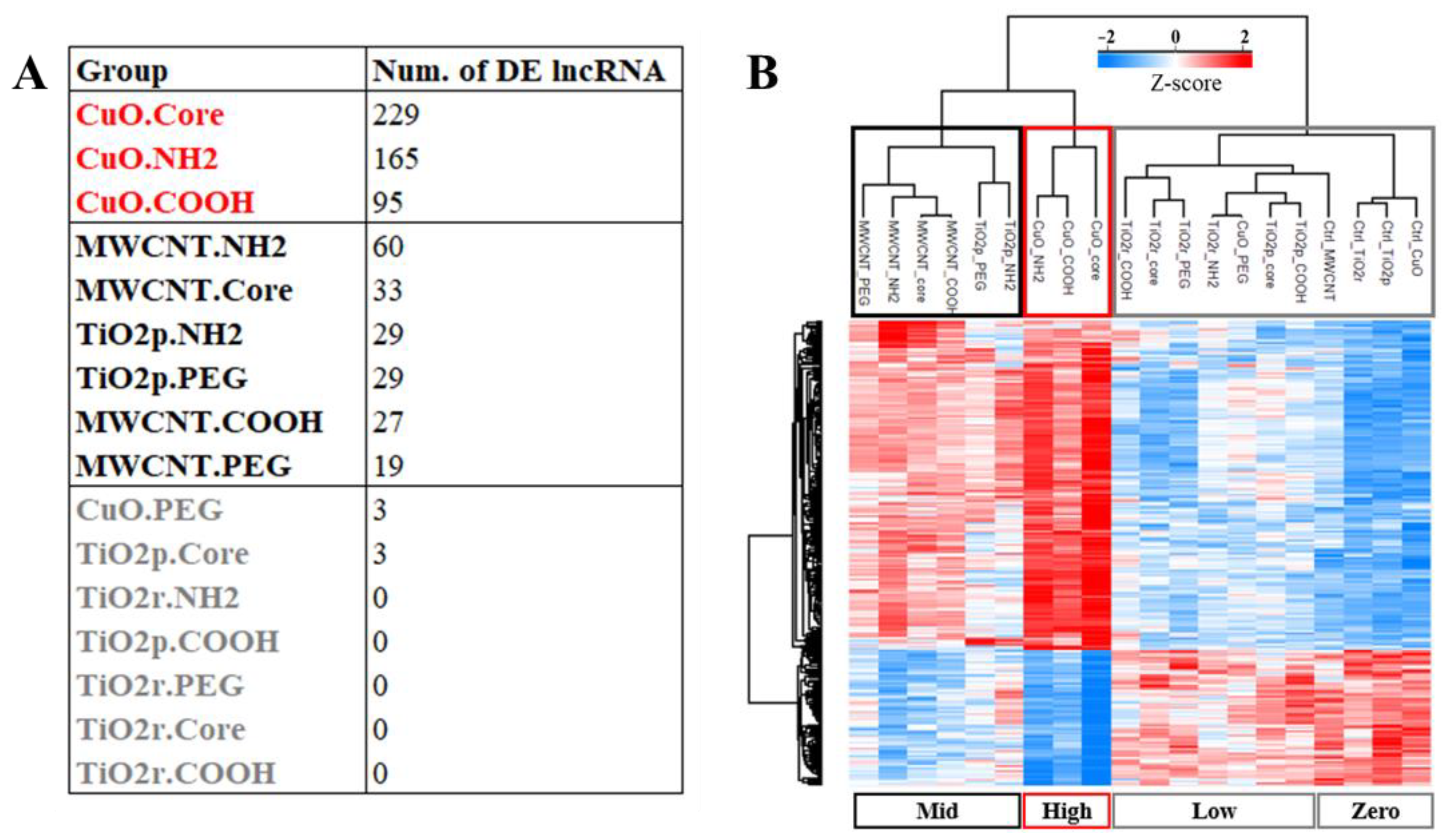 Cells 10 01085 g005 Cells 10 01085 g005