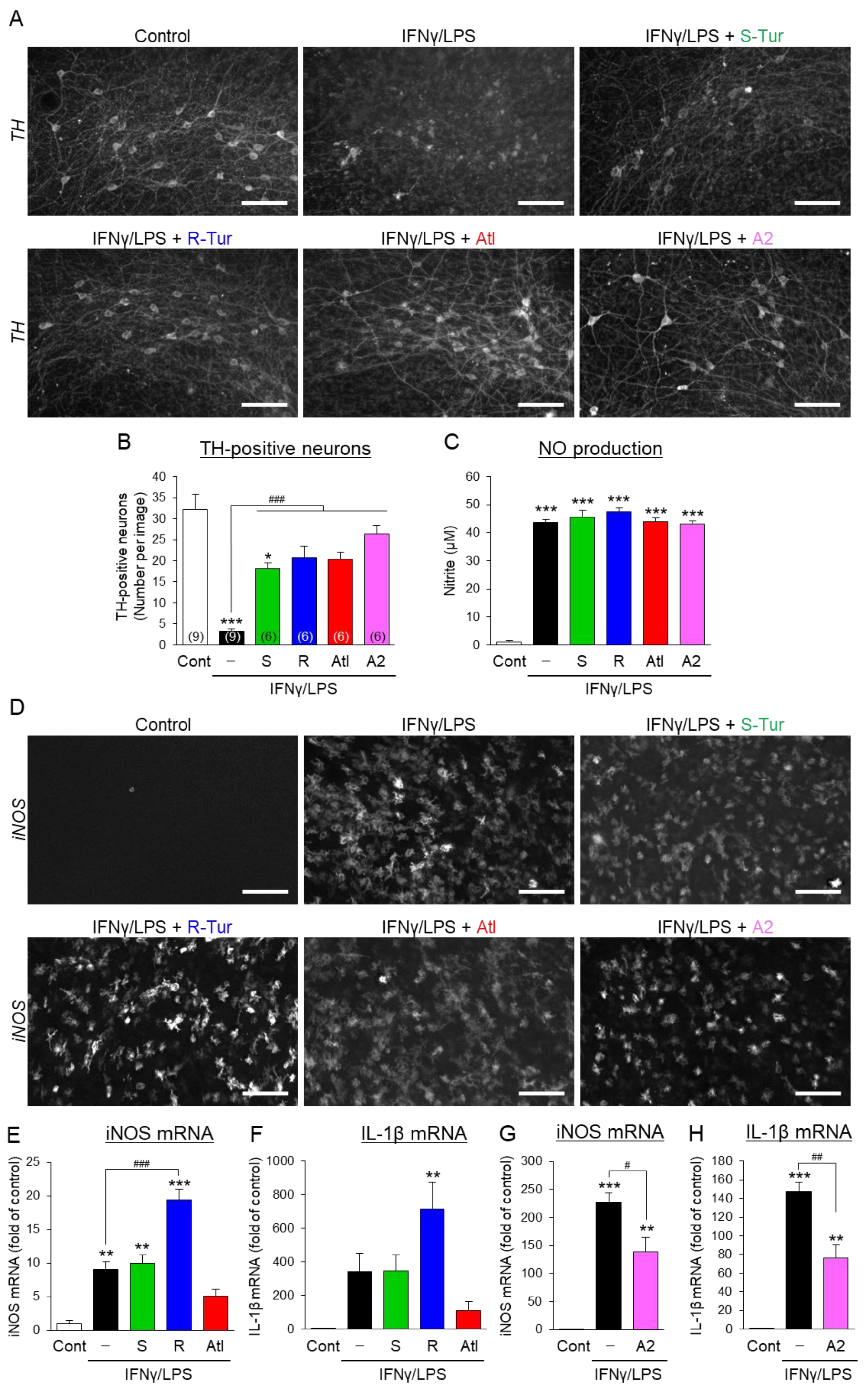 Cells 10 01090 g003