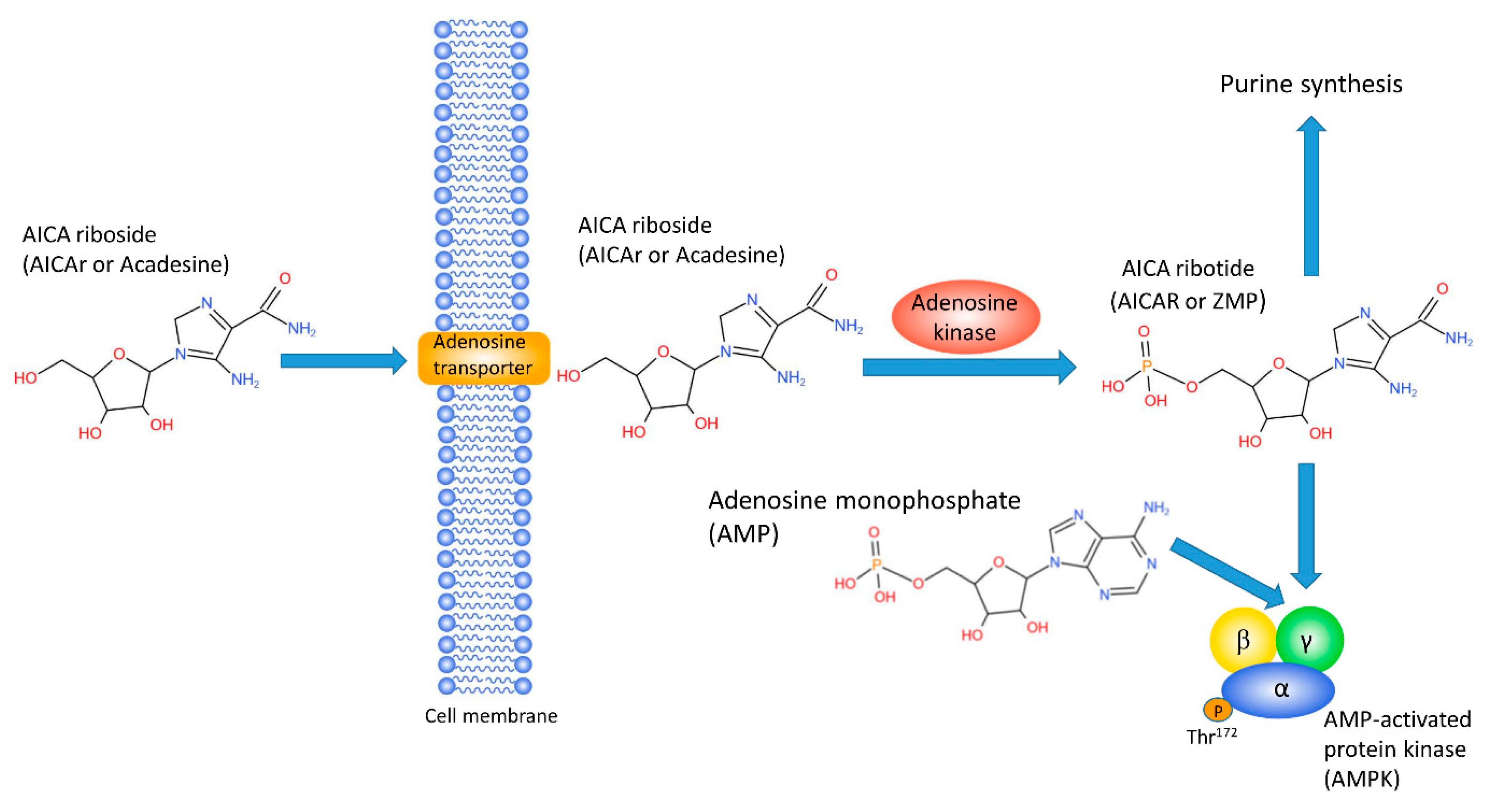 https://achetersteroides24.com/categorie-produit/hgh-et-peptides/ Sans vous rendre fou