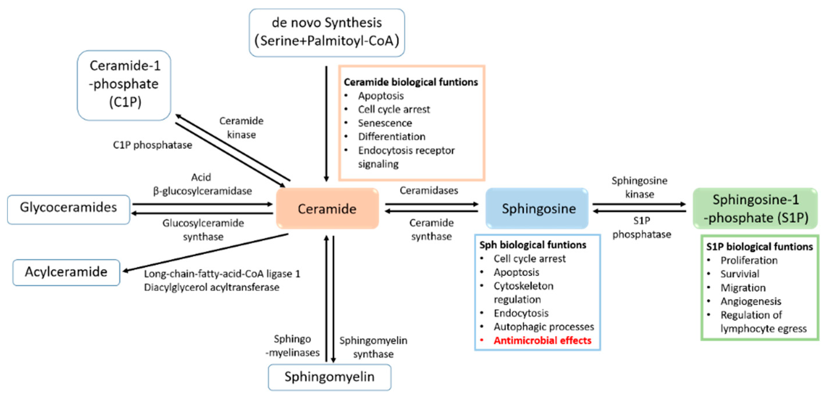 Cells 10 01105 g001 Cells 10 01105 g001