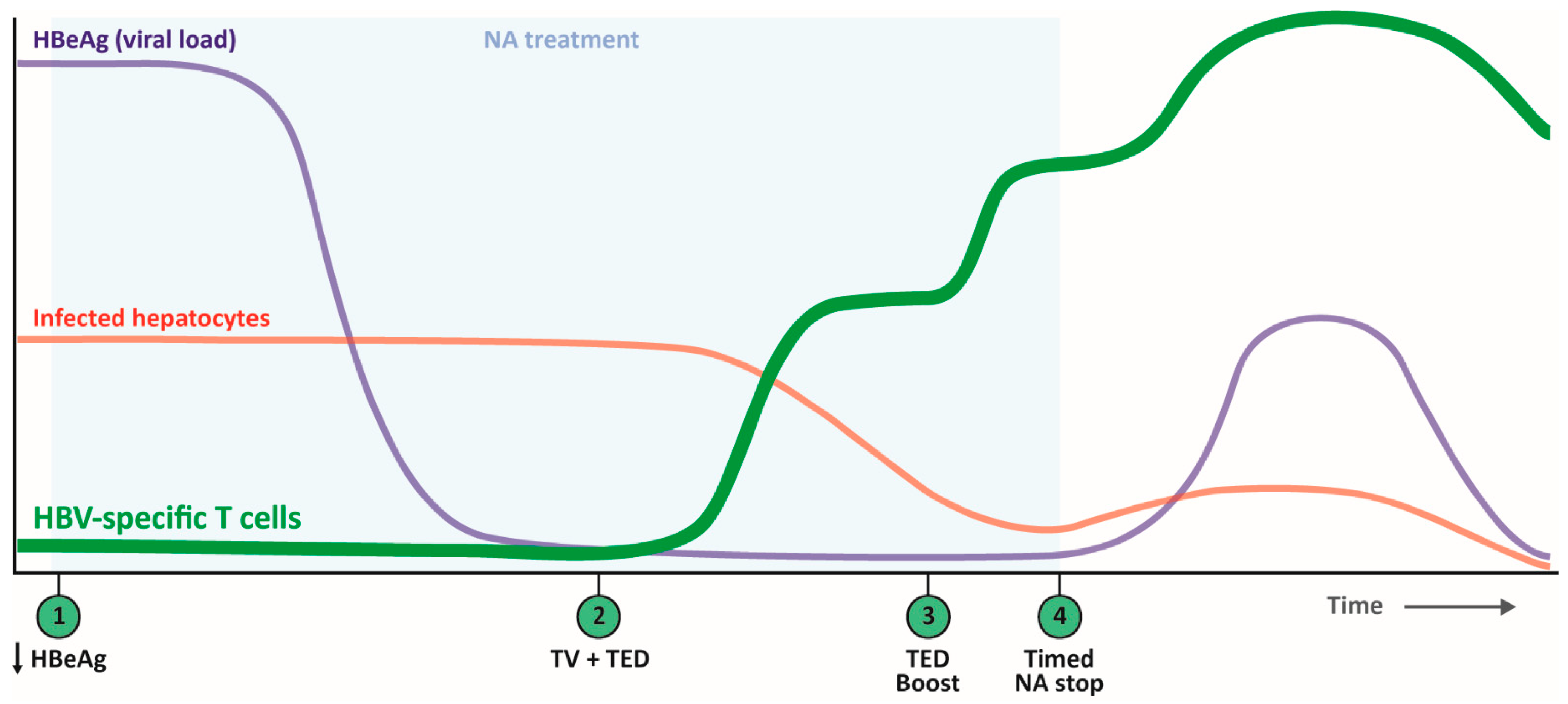 Cells 10 01114 g003 Cells 10 01114 g003