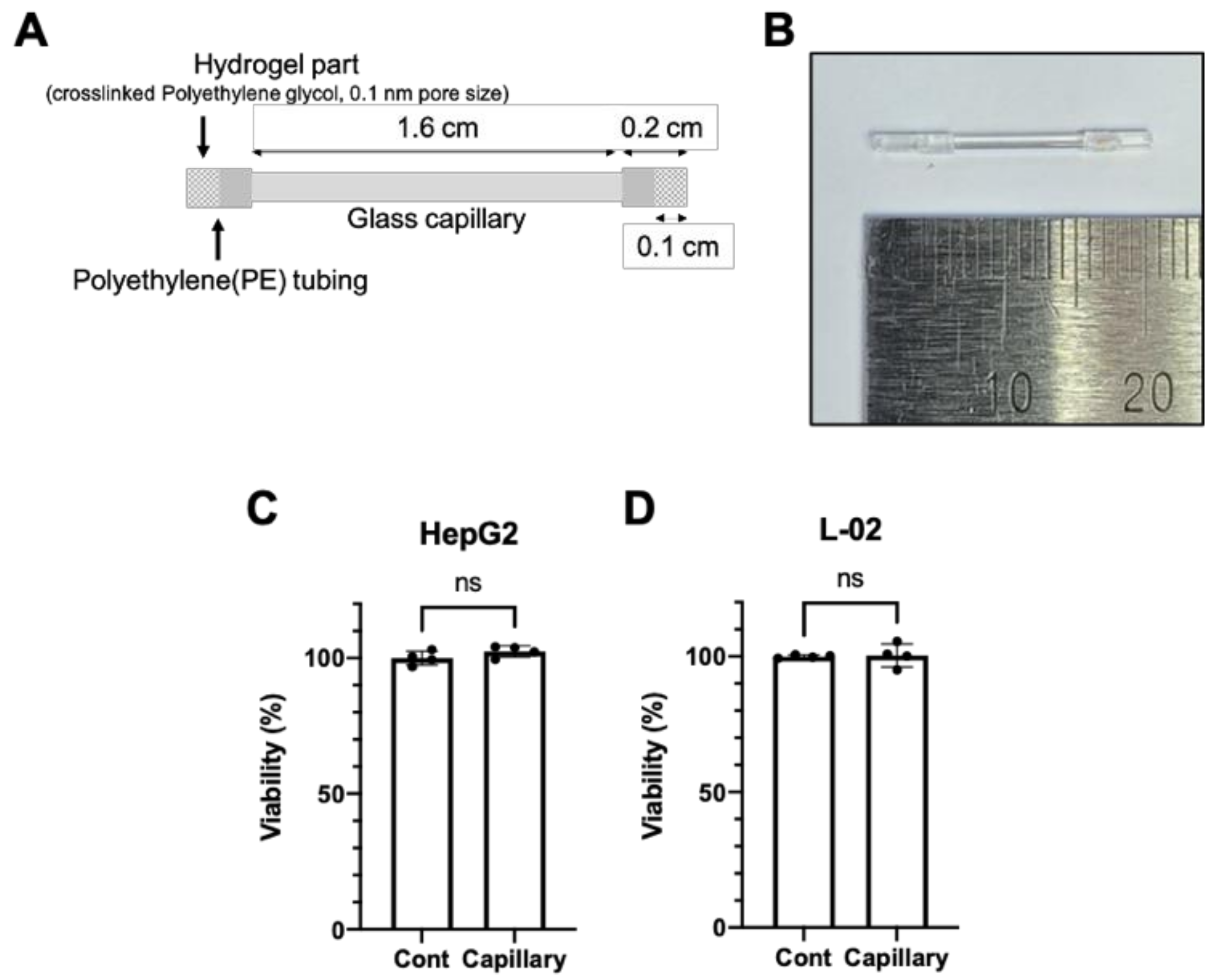 Cells 10 01120 g001 Cells 10 01120 g001