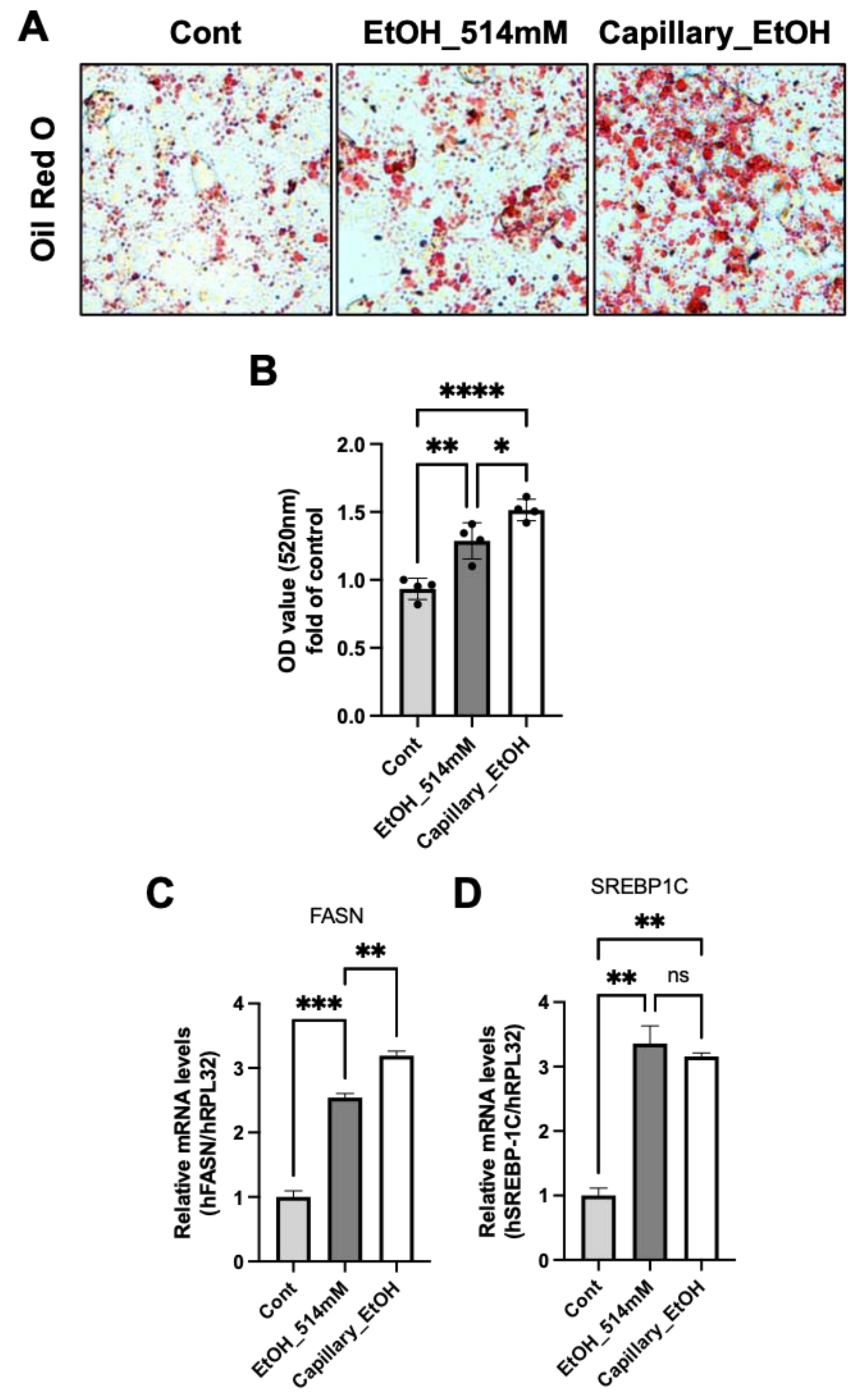 Cells 10 01120 g005 Cells 10 01120 g005