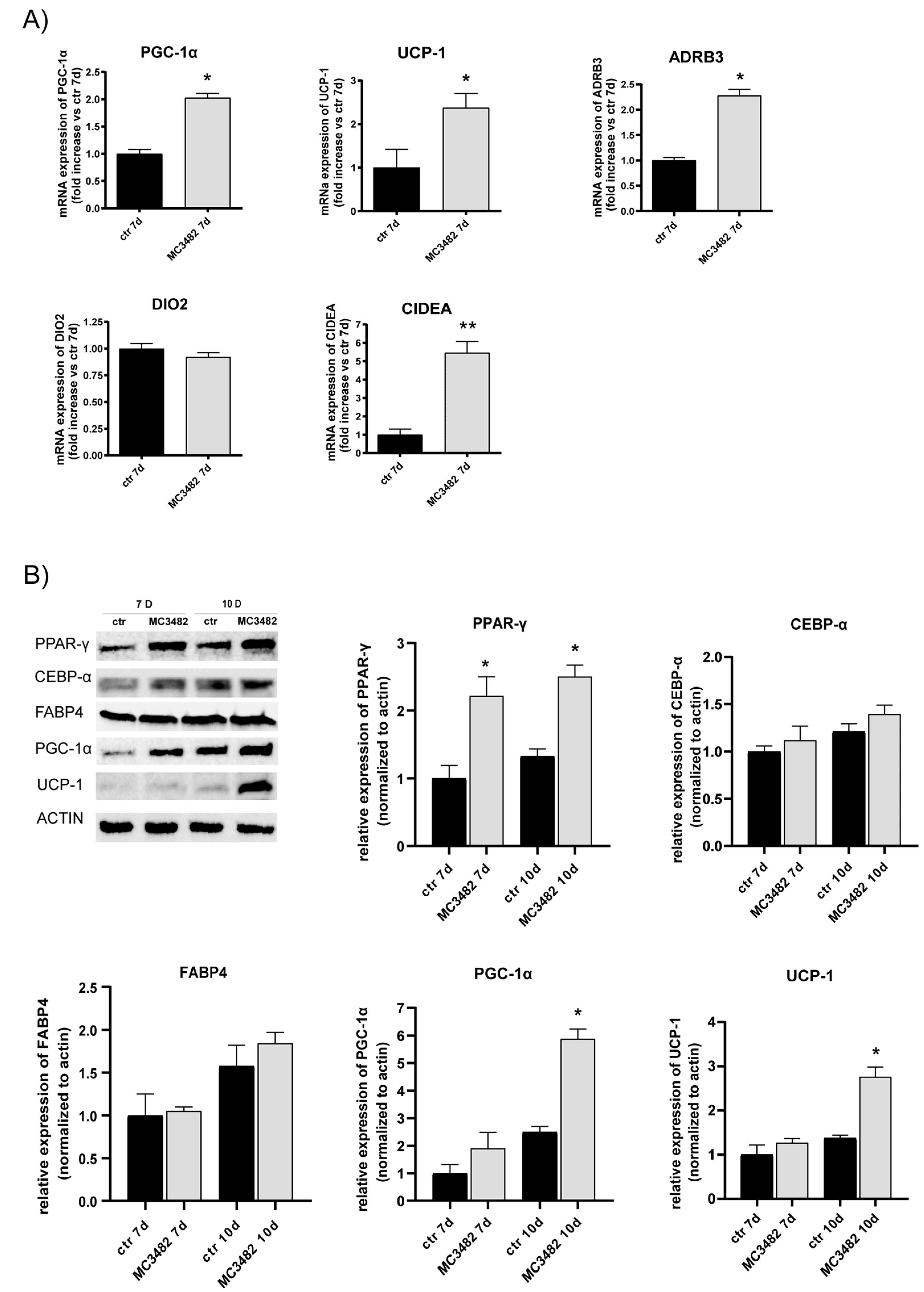 Cells 10 01126 g002 Cells 10 01126 g002