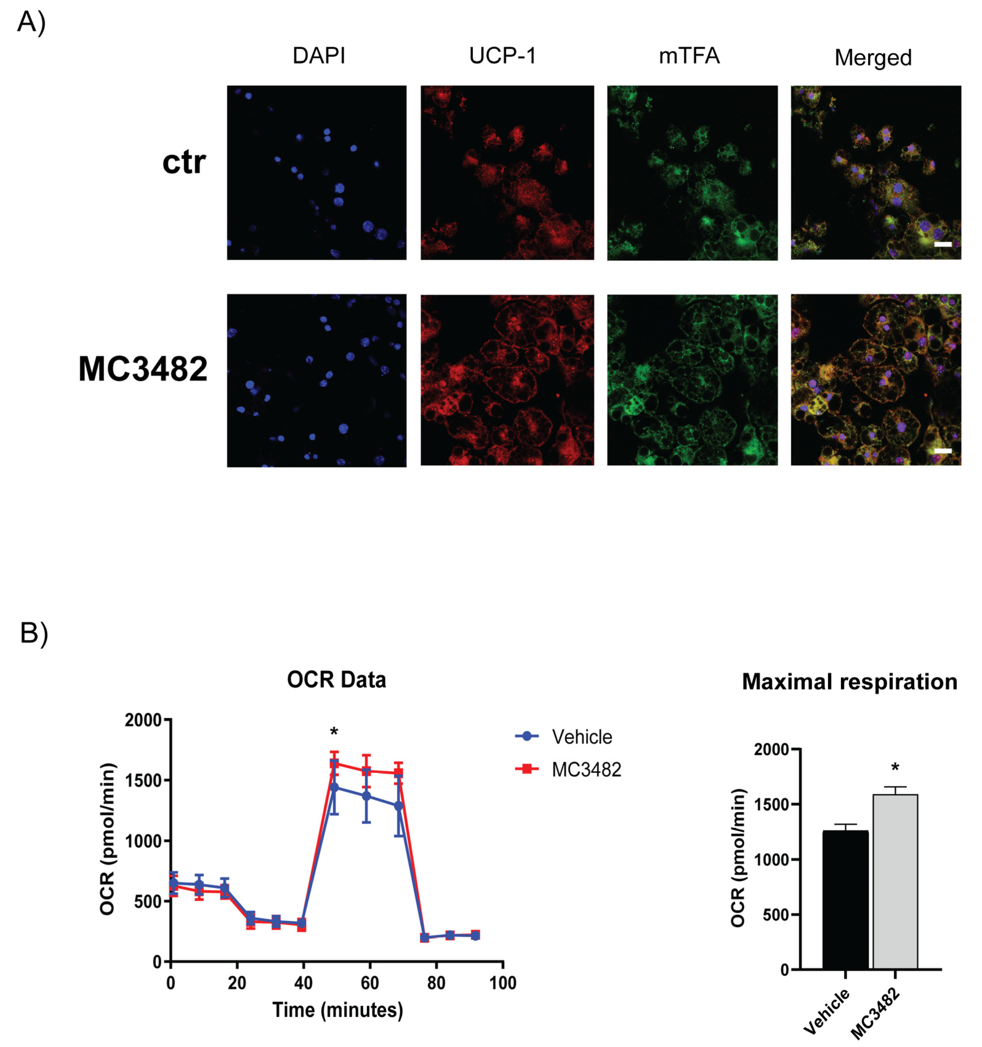 Cells 10 01126 g003 Cells 10 01126 g003