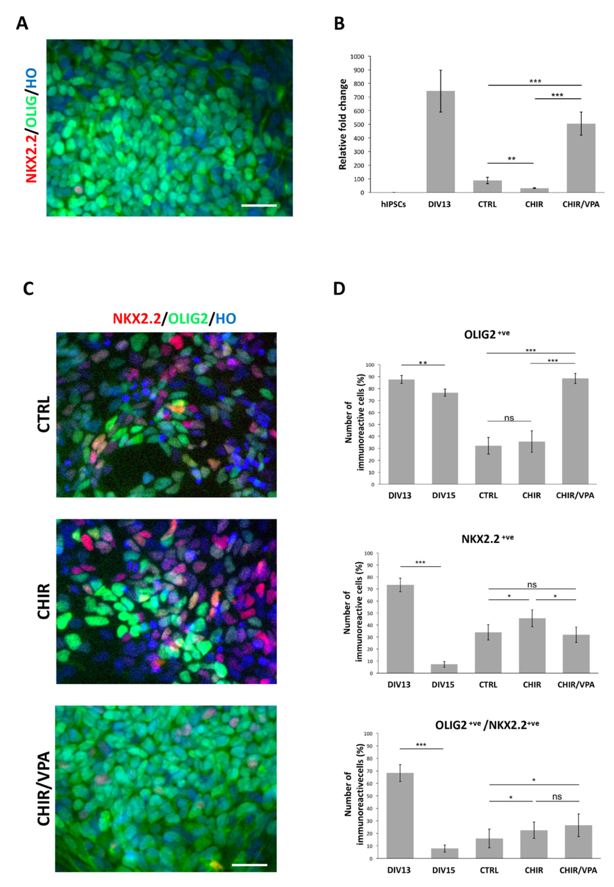 Cells 10 01127 g002 Cells 10 01127 g002