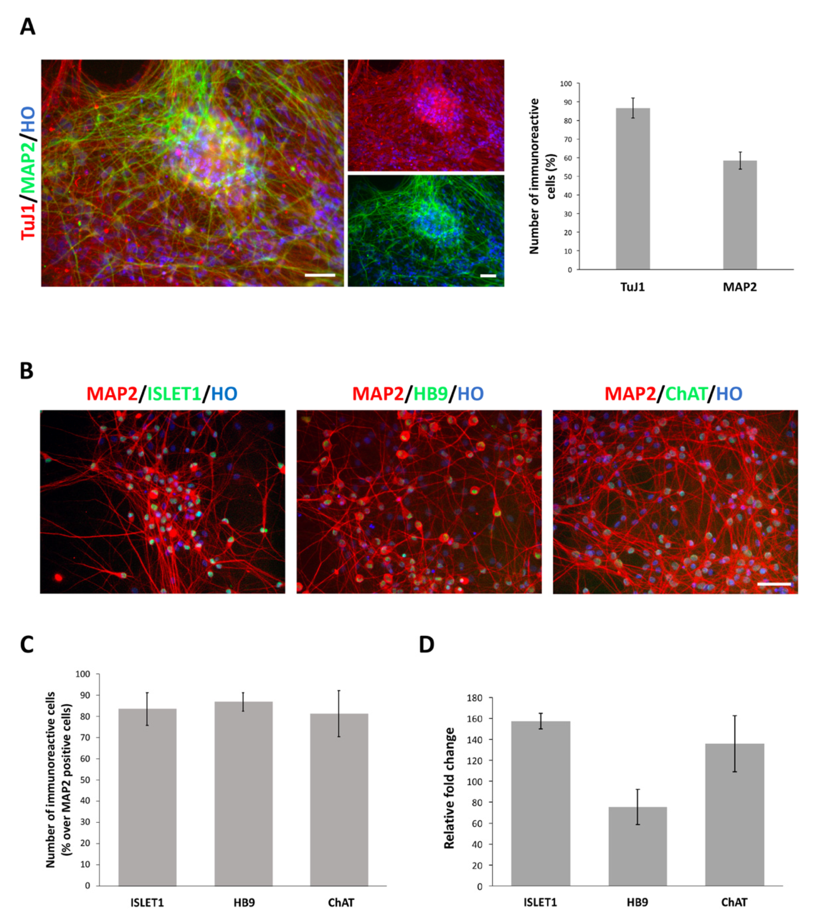 Cells 10 01127 g003 Cells 10 01127 g003
