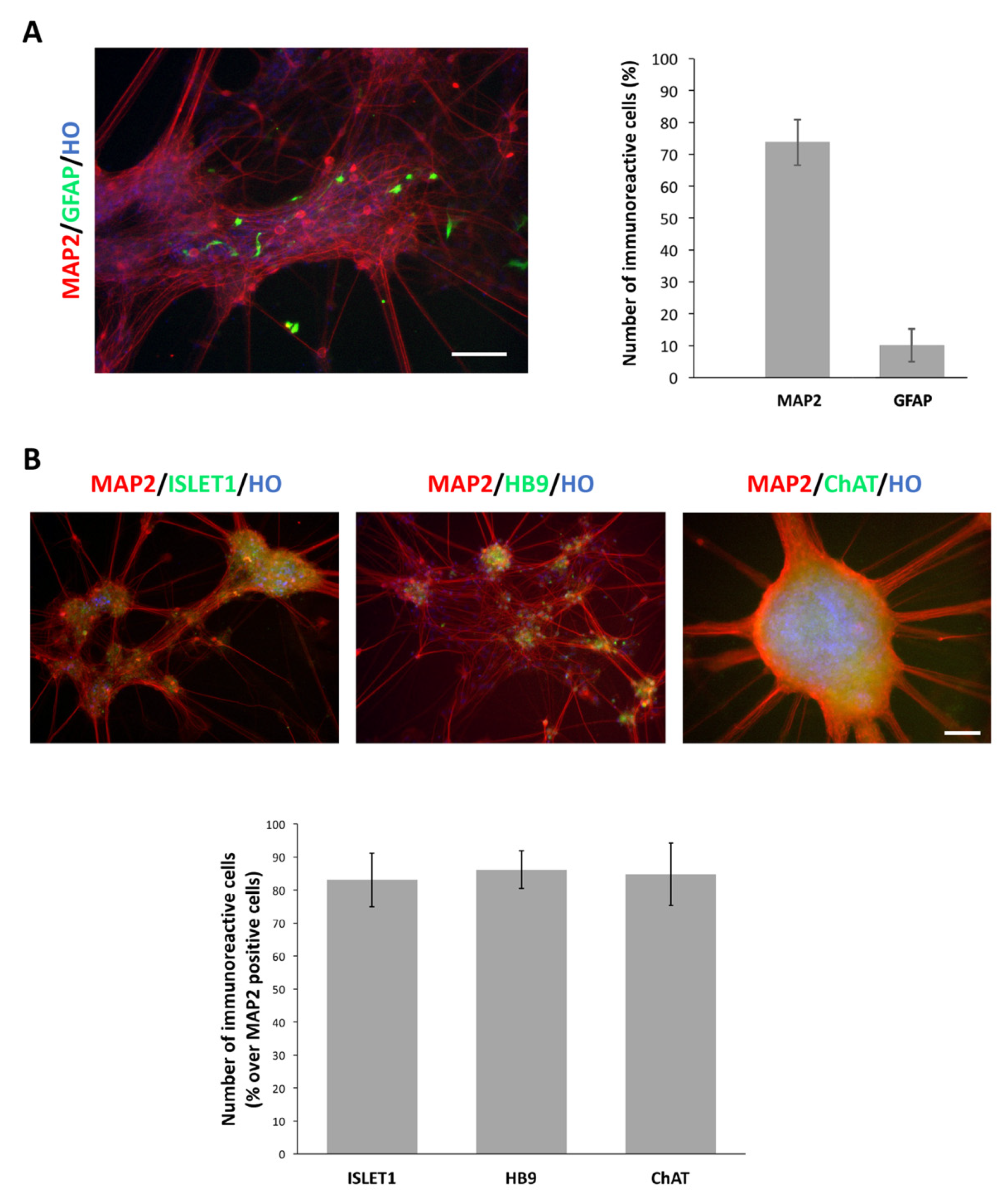 Cells 10 01127 g004 Cells 10 01127 g004