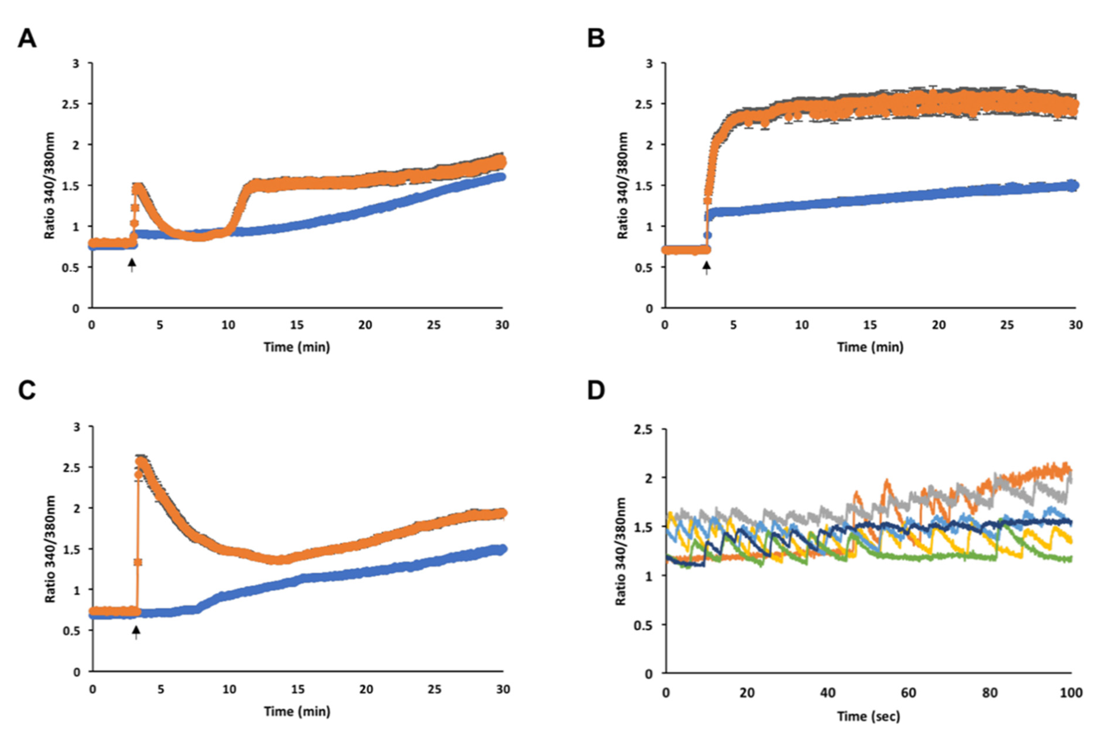 Cells 10 01127 g006 Cells 10 01127 g006