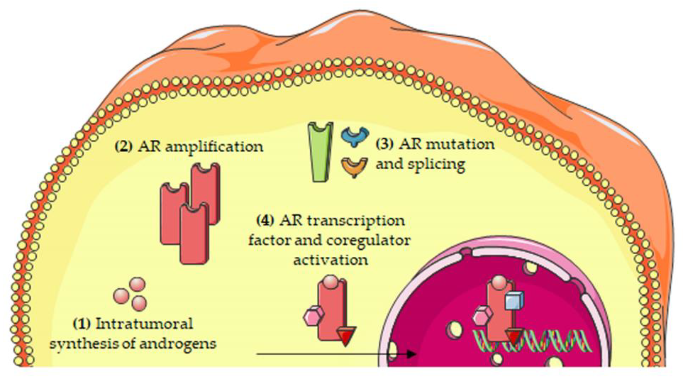 Cells 10 01133 g002 Cells 10 01133 g002