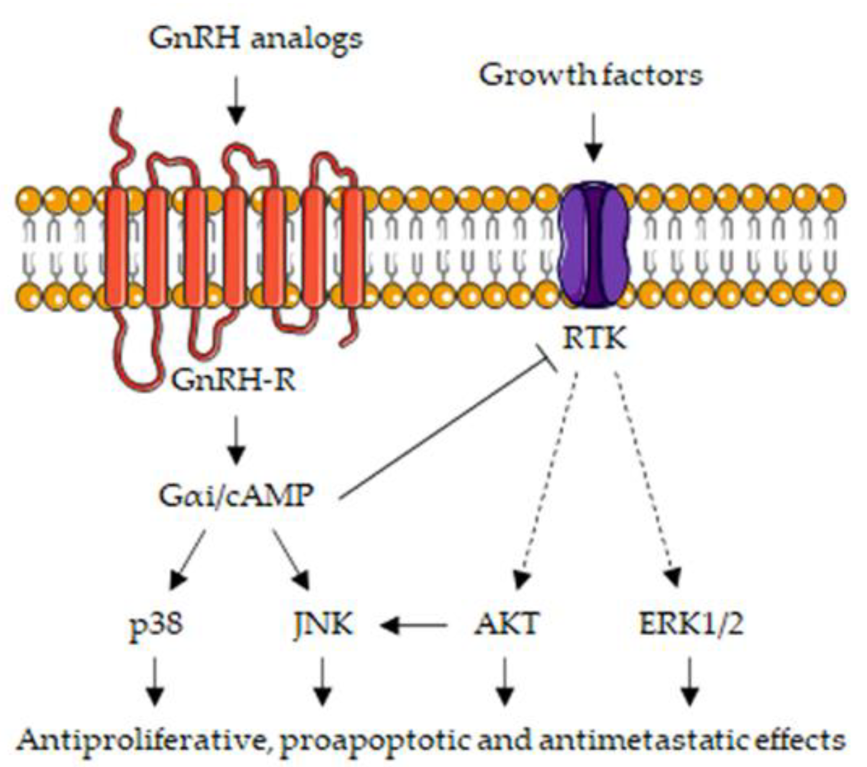 Cells 10 01133 g003 Cells 10 01133 g003