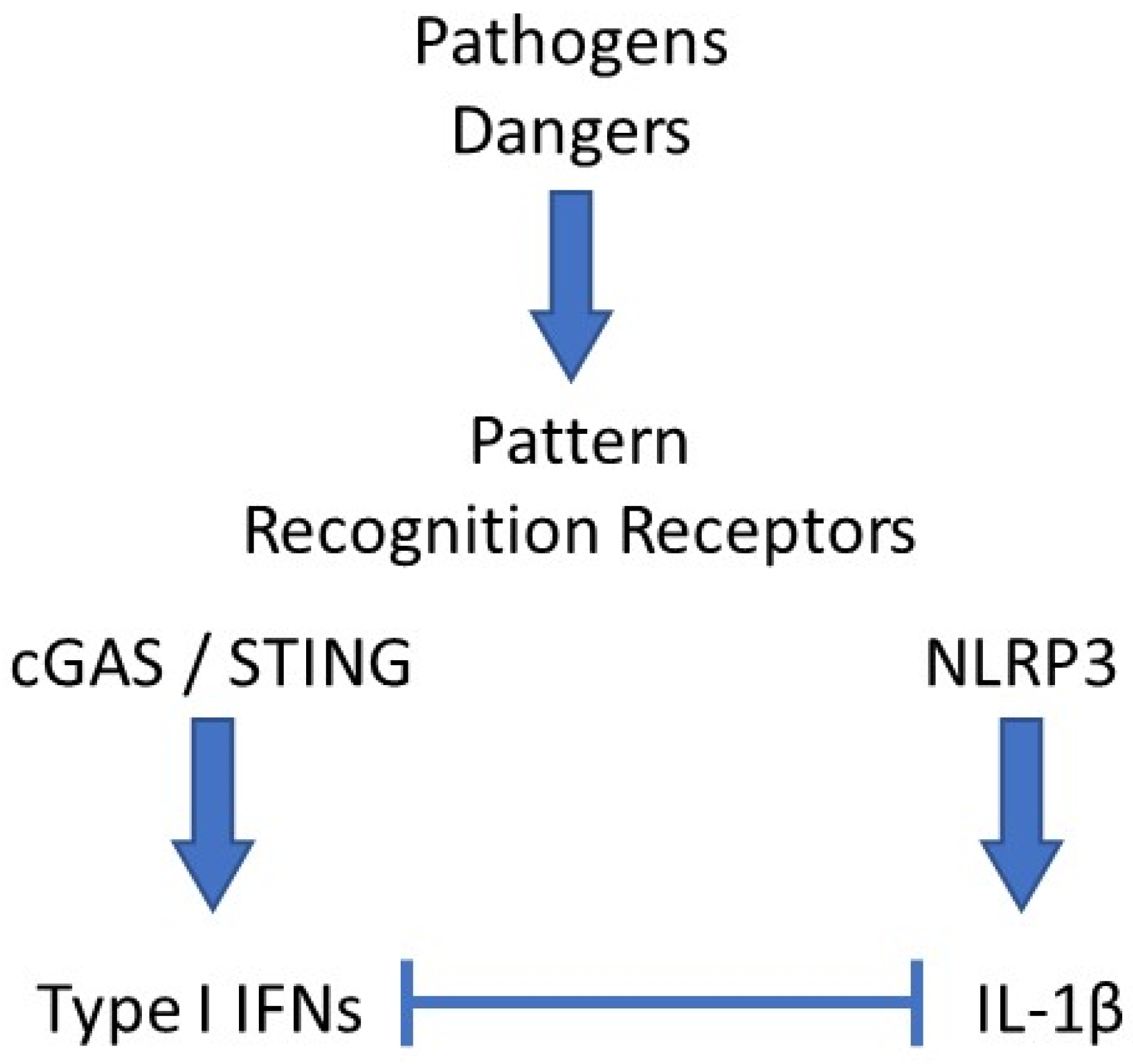 Cells 10 01134 g001 Cells 10 01134 g001