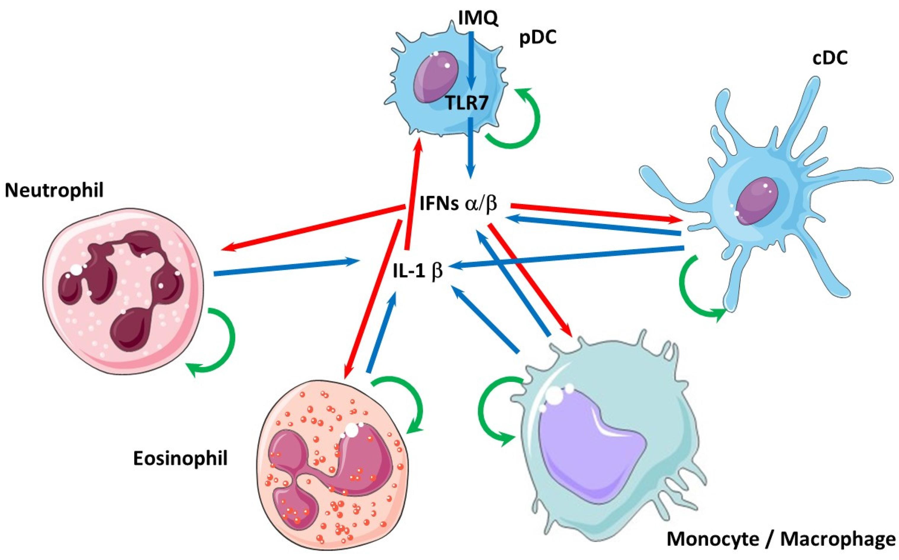 Cells 10 01134 g002 Cells 10 01134 g002