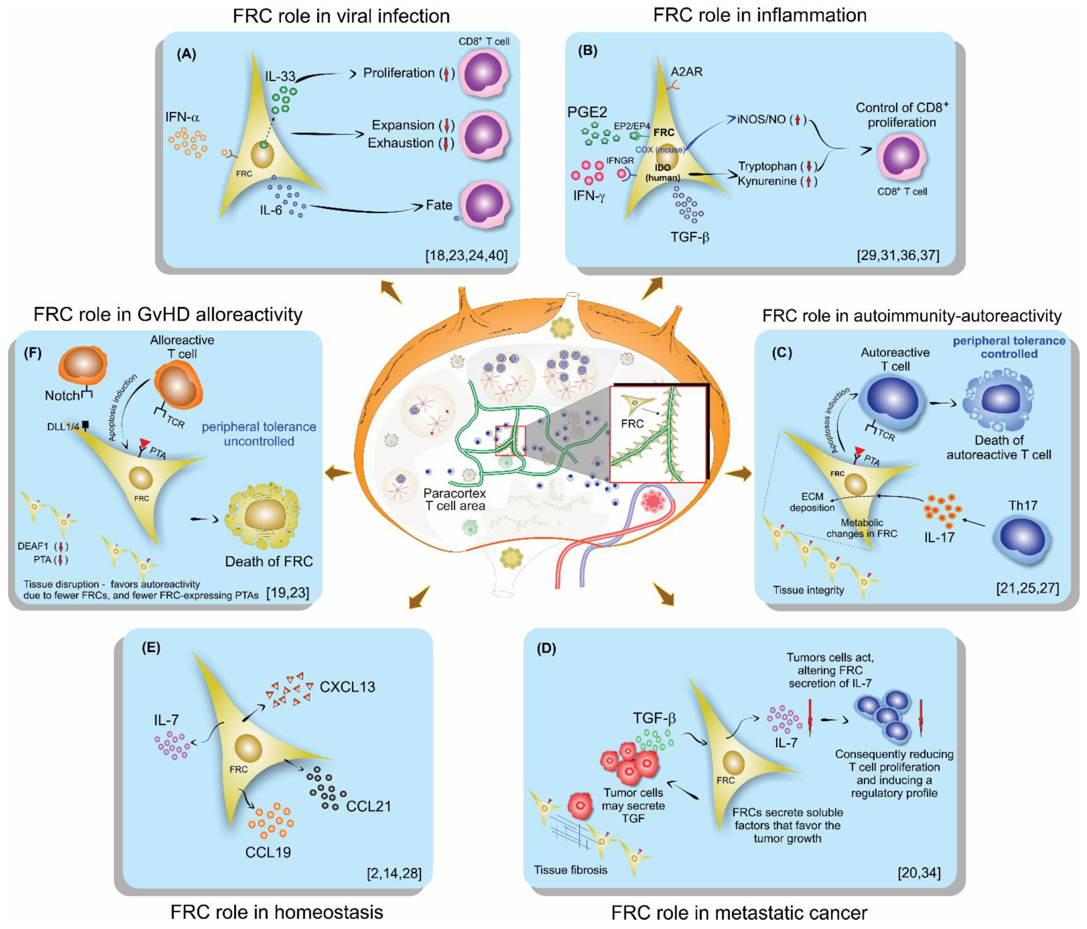 Cells 10 01150 g002 Cells 10 01150 g002