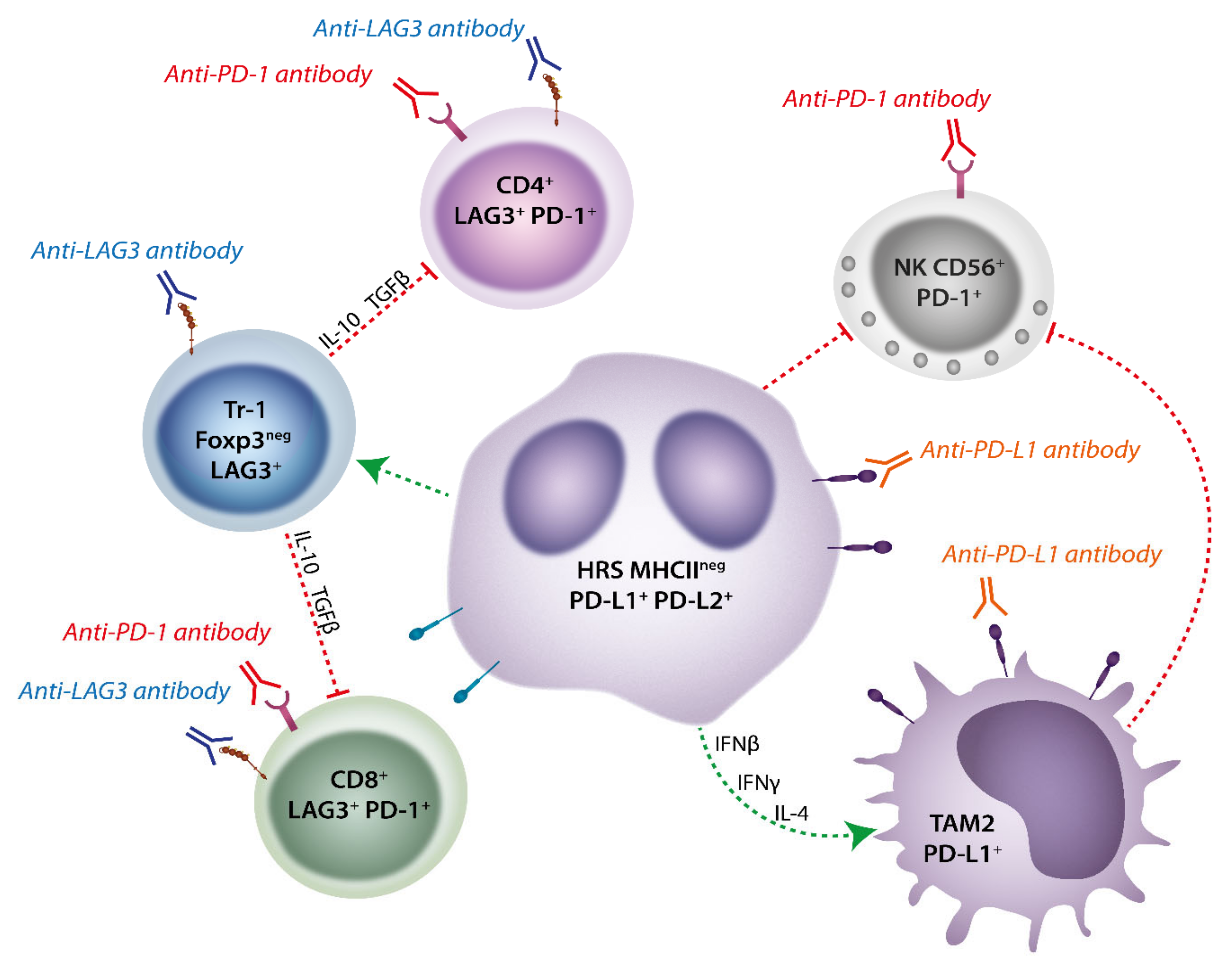 Cells 10 01152 g003 Cells 10 01152 g003