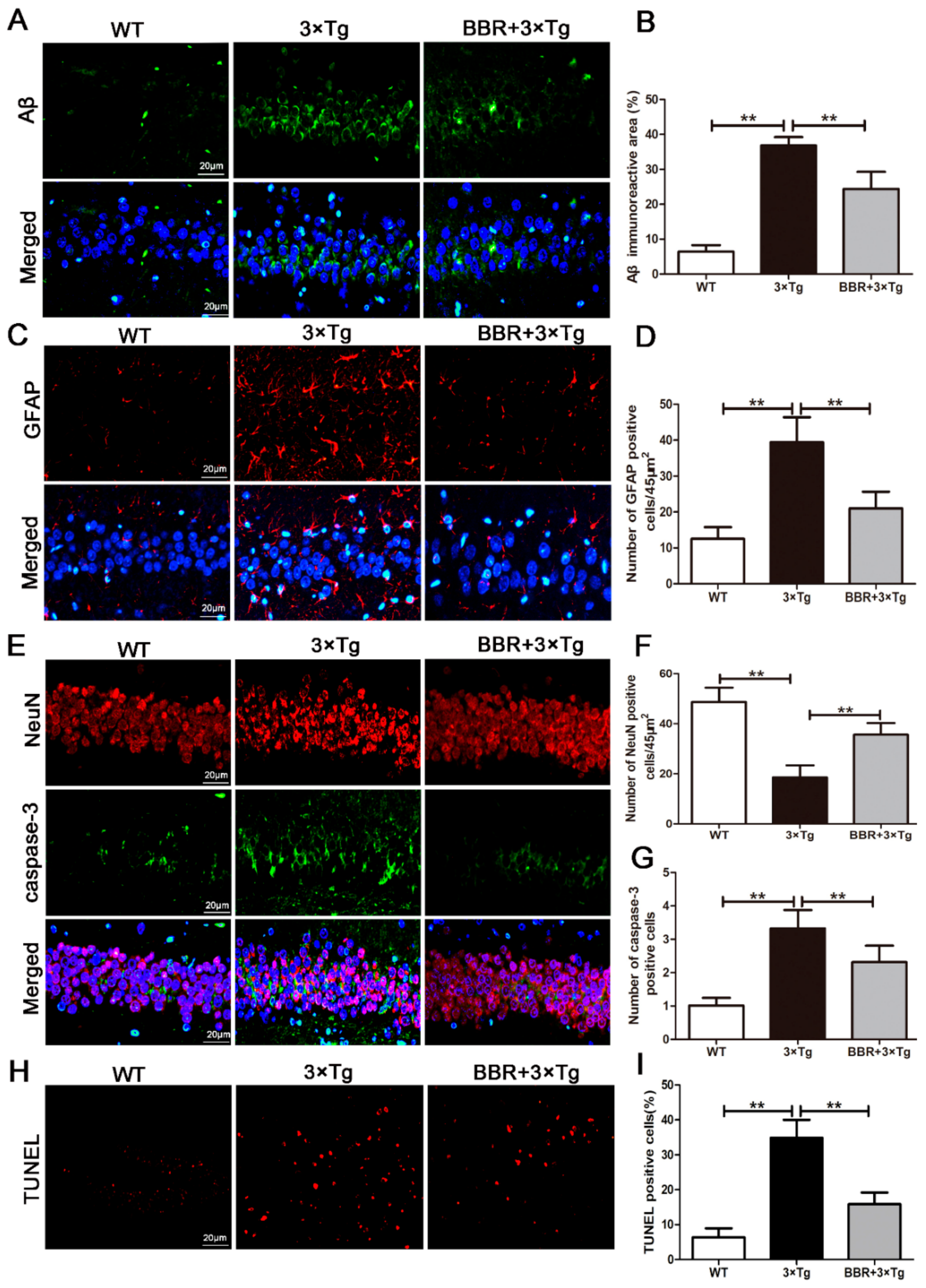 Cells 10 01161 g003 Cells 10 01161 g003