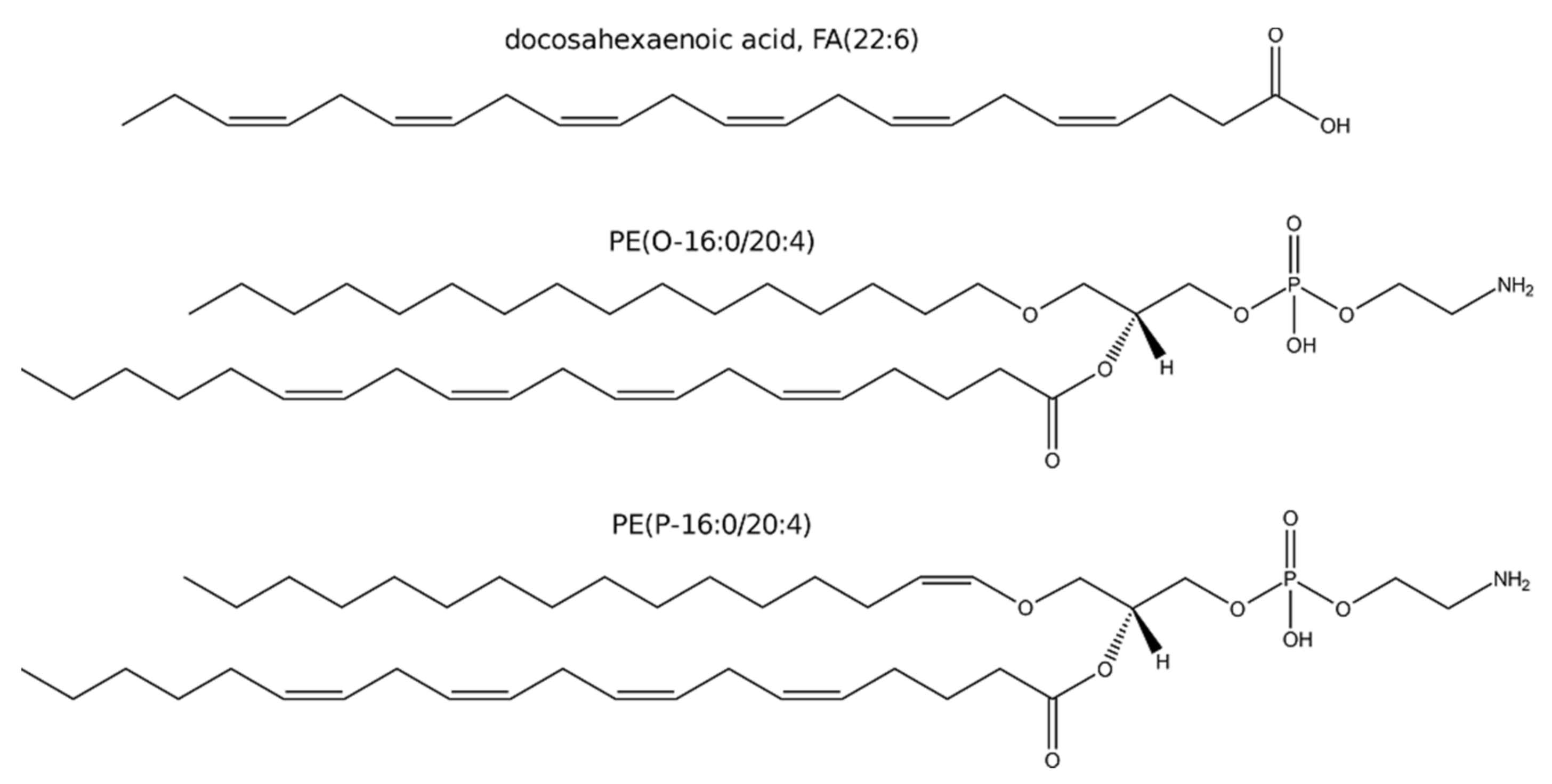 Cells 10 01163 sch001 Cells 10 01163 sch001