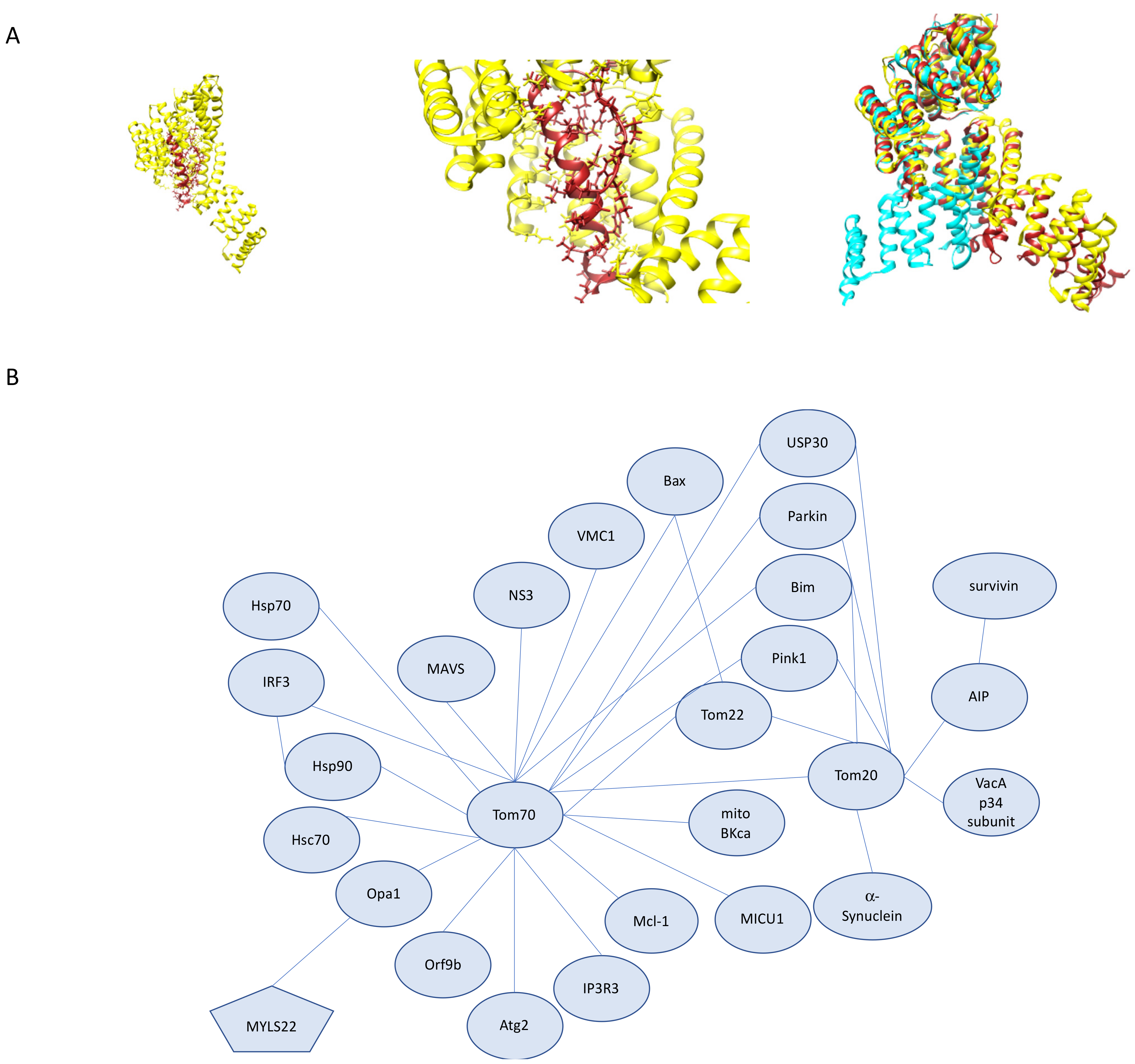 Cells 10 01164 g007
