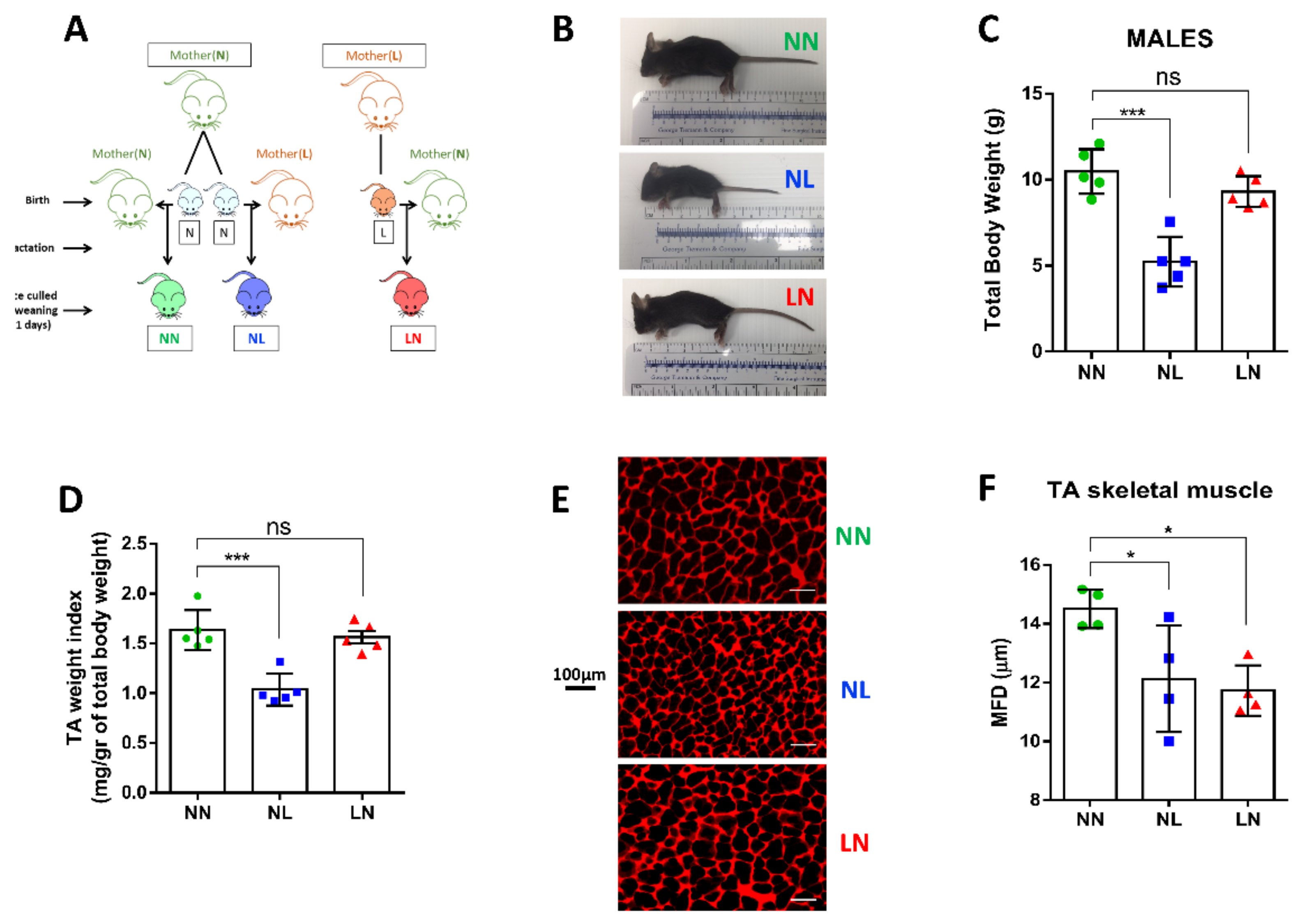 Cells 10 01166 g001 Cells 10 01166 g001