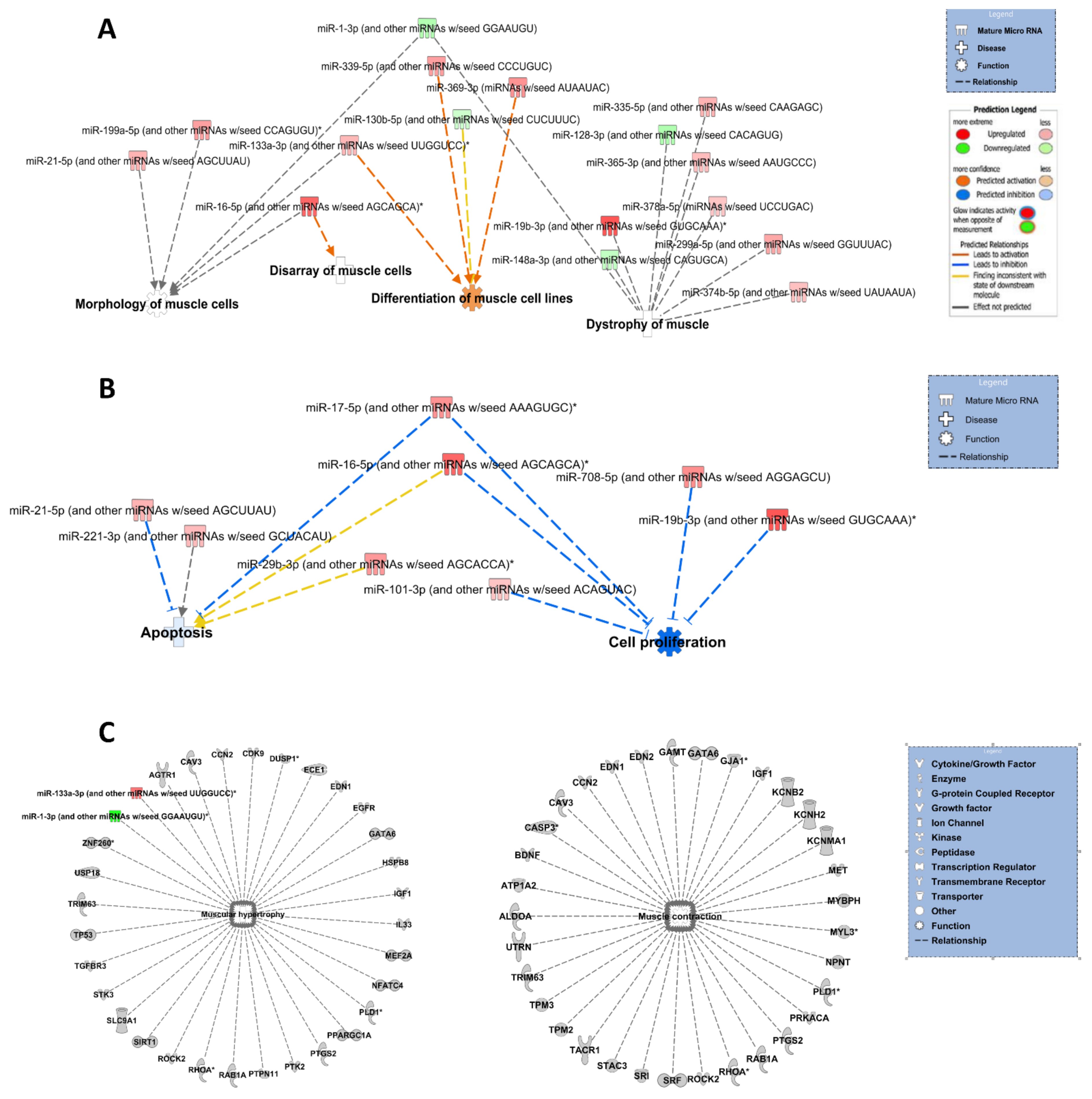 Cells 10 01166 g003 Cells 10 01166 g003