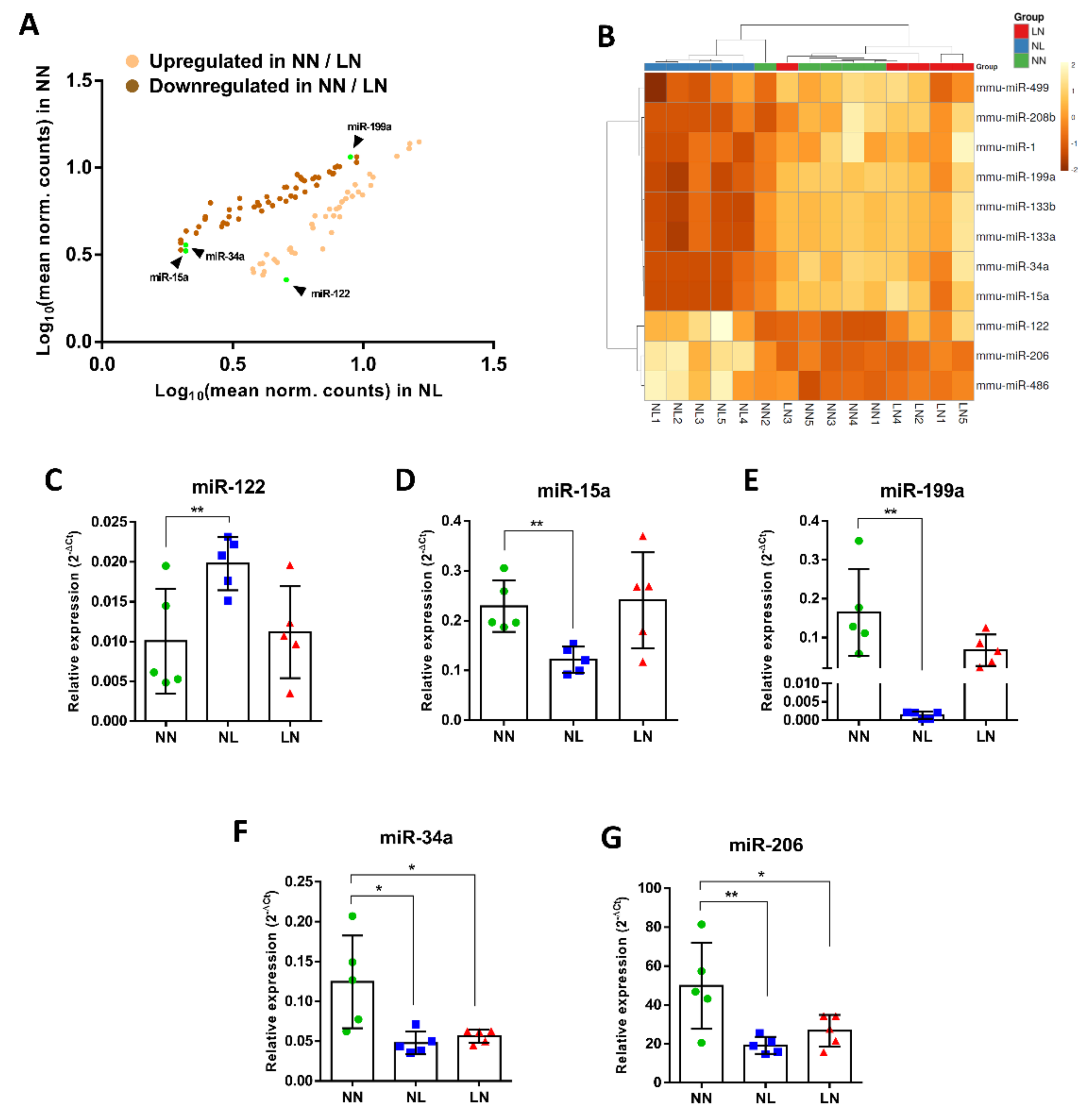 Cells 10 01166 g004 Cells 10 01166 g004