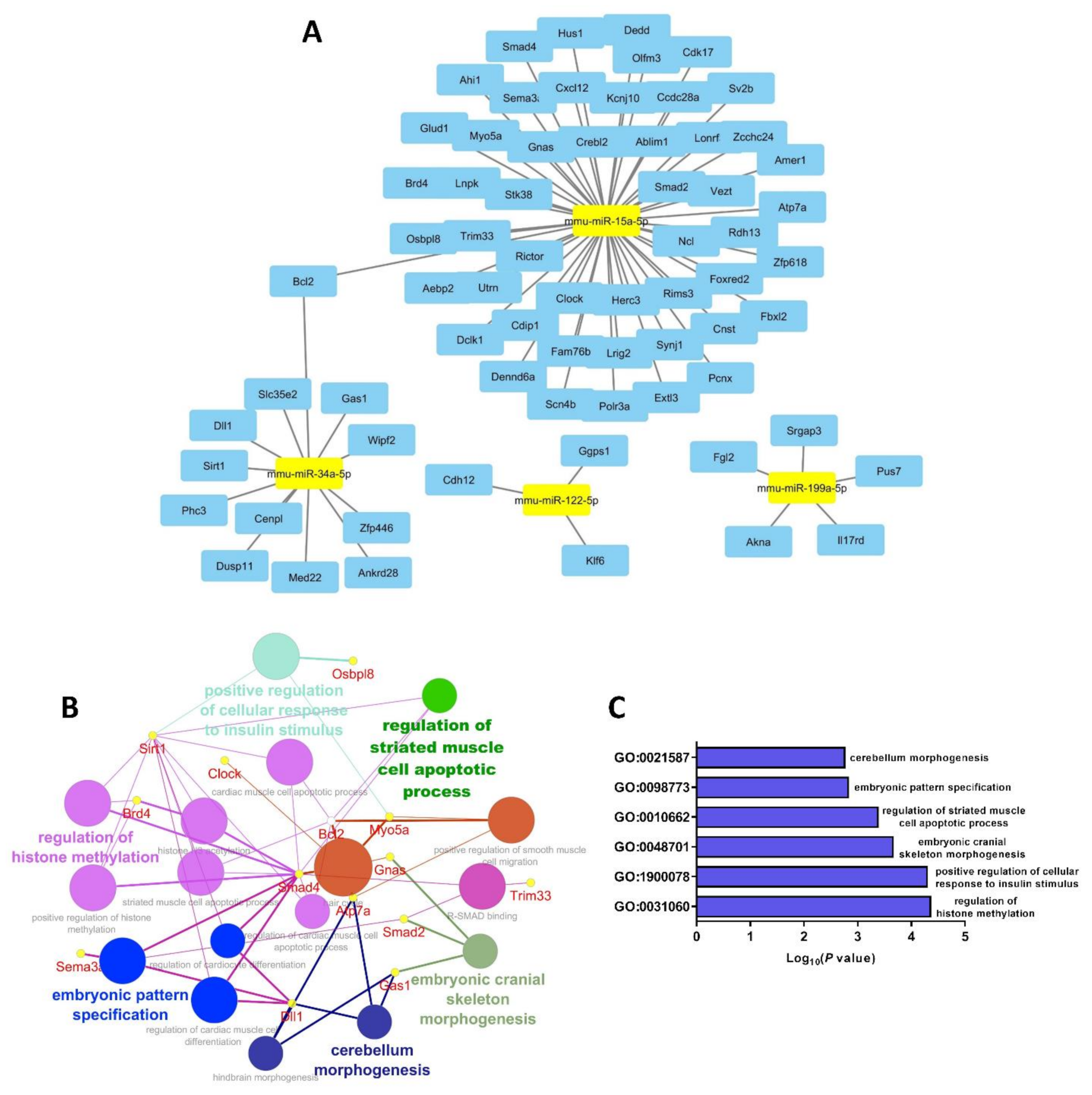 Cells 10 01166 g005 Cells 10 01166 g005