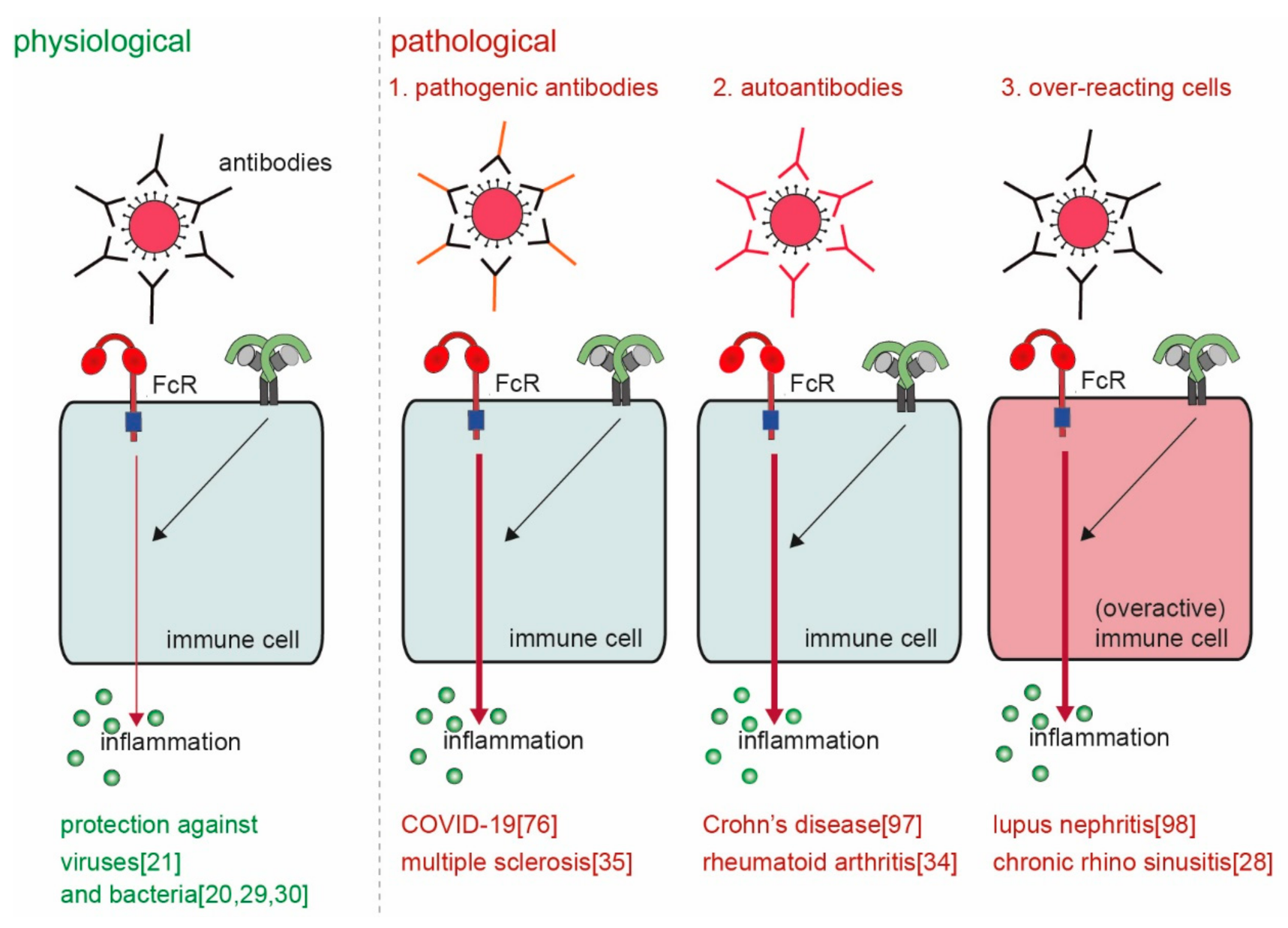 Cells 10 01175 g005 Cells 10 01175 g005