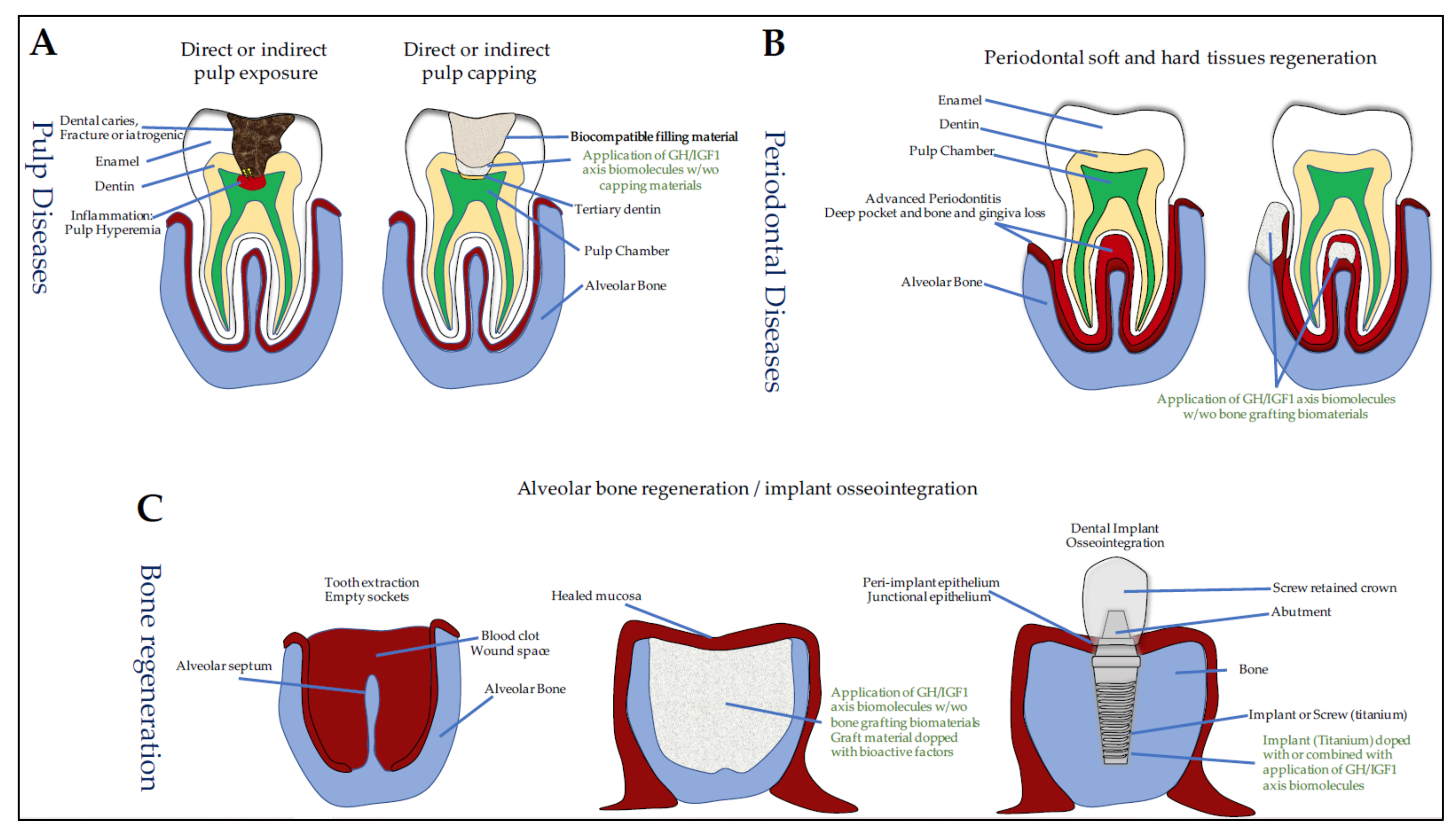Cells 10 01181 g003 Cells 10 01181 g003