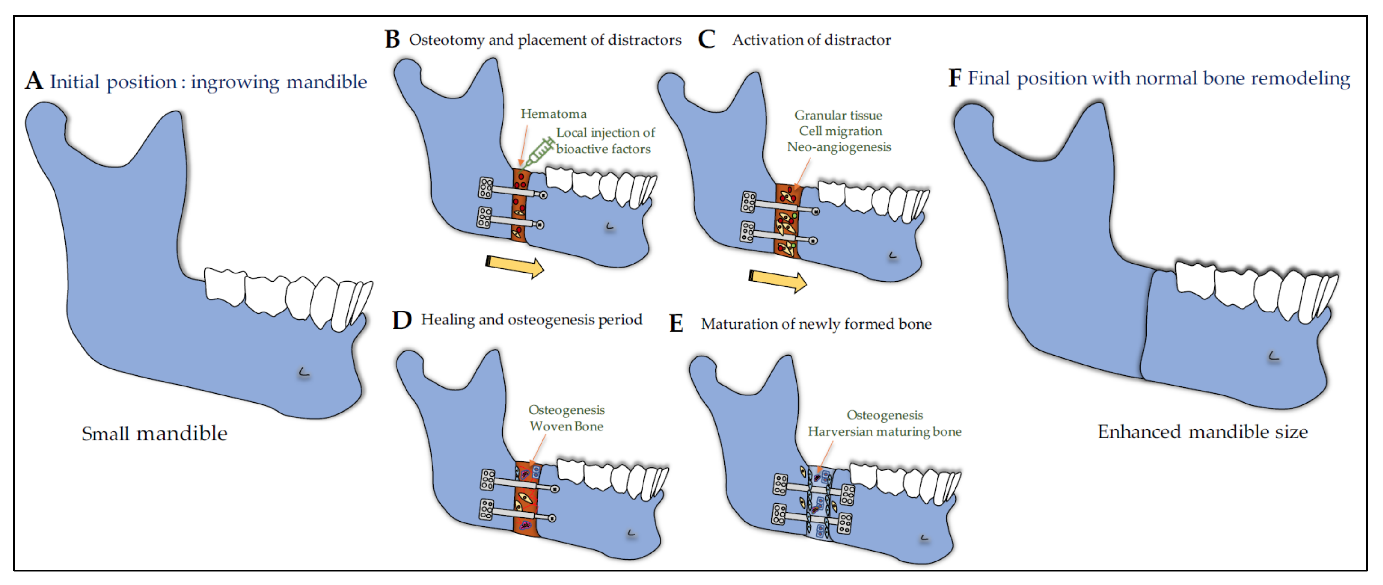 Cells 10 01181 g004 Cells 10 01181 g004