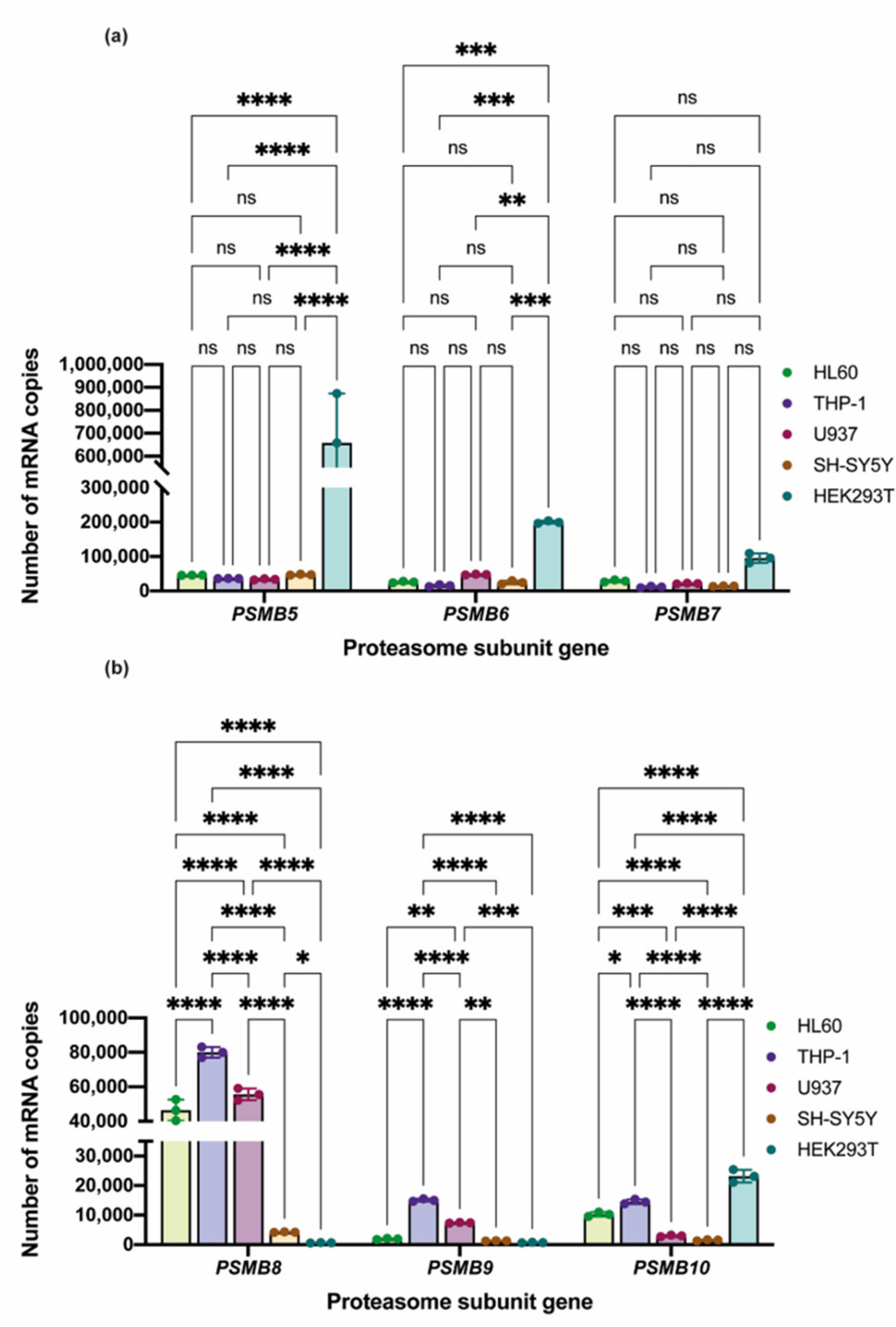 Cells 10 01185 g002 Cells 10 01185 g002