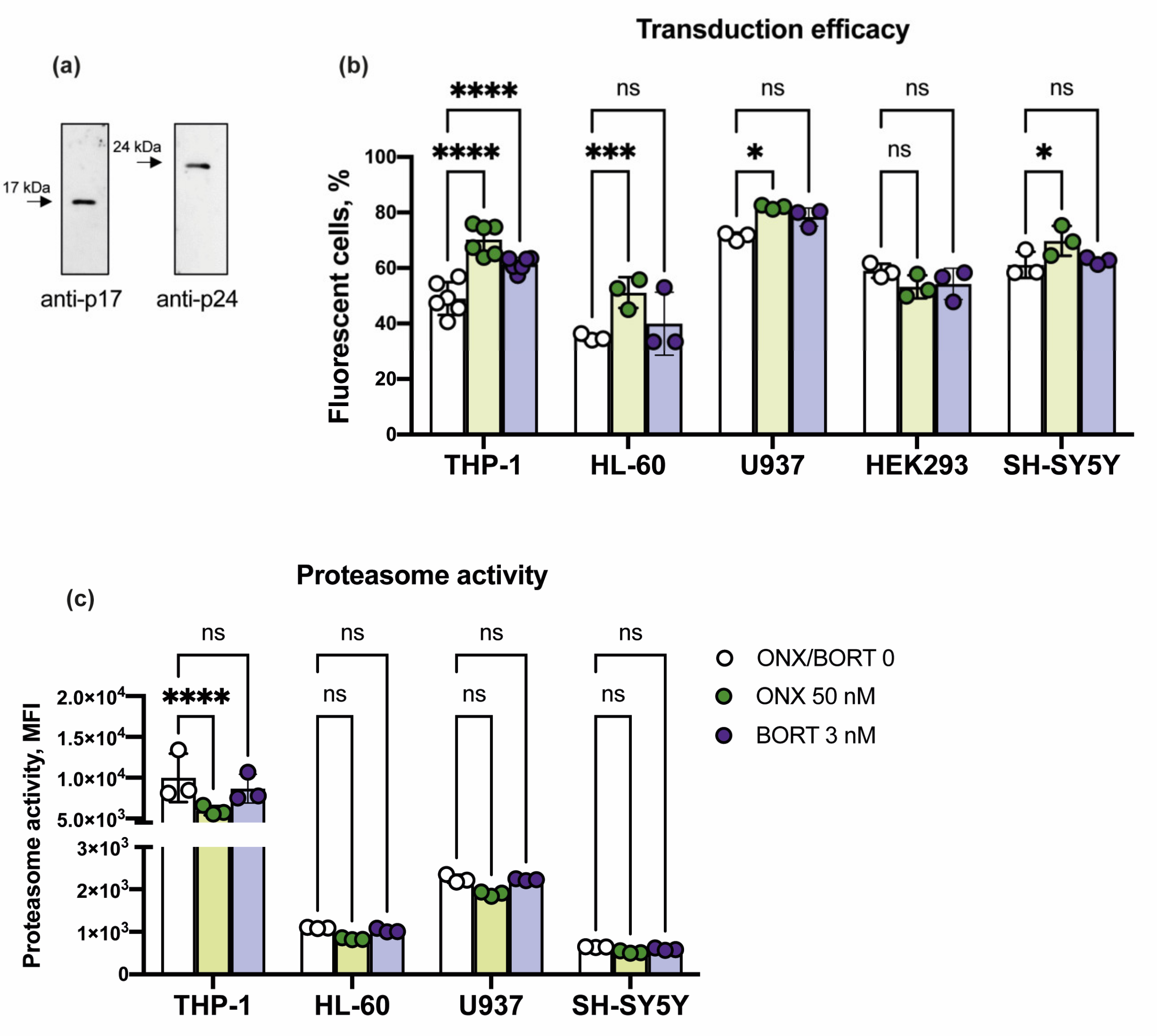 Cells 10 01185 g004 Cells 10 01185 g004