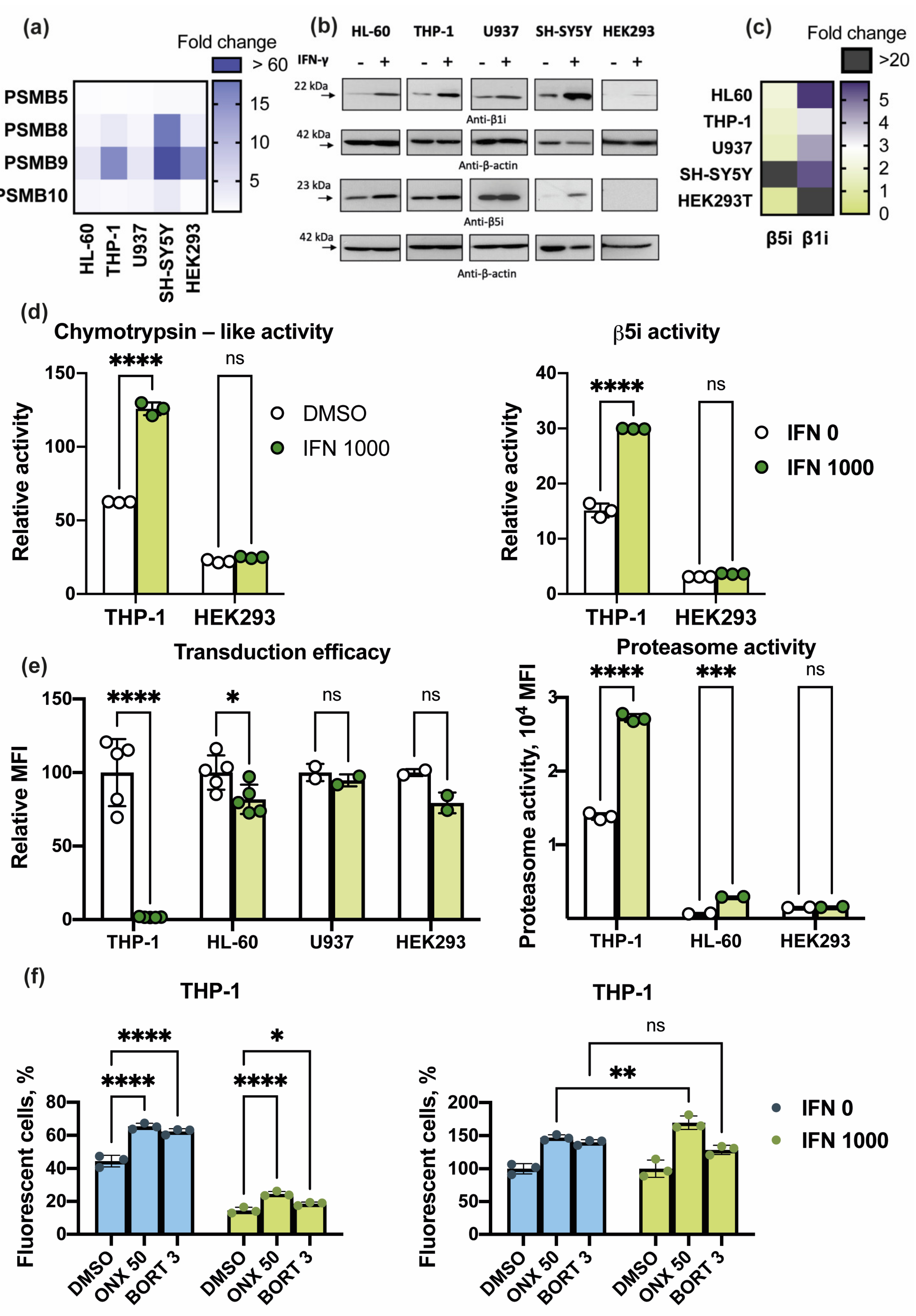 Cells 10 01185 g005 Cells 10 01185 g005