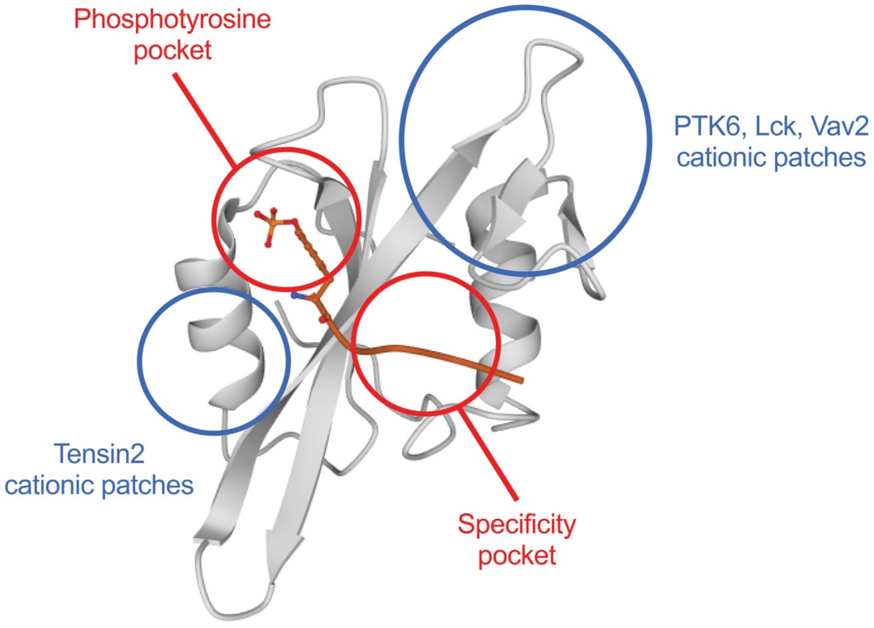 Cells 10 01191 g002 Cells 10 01191 g002