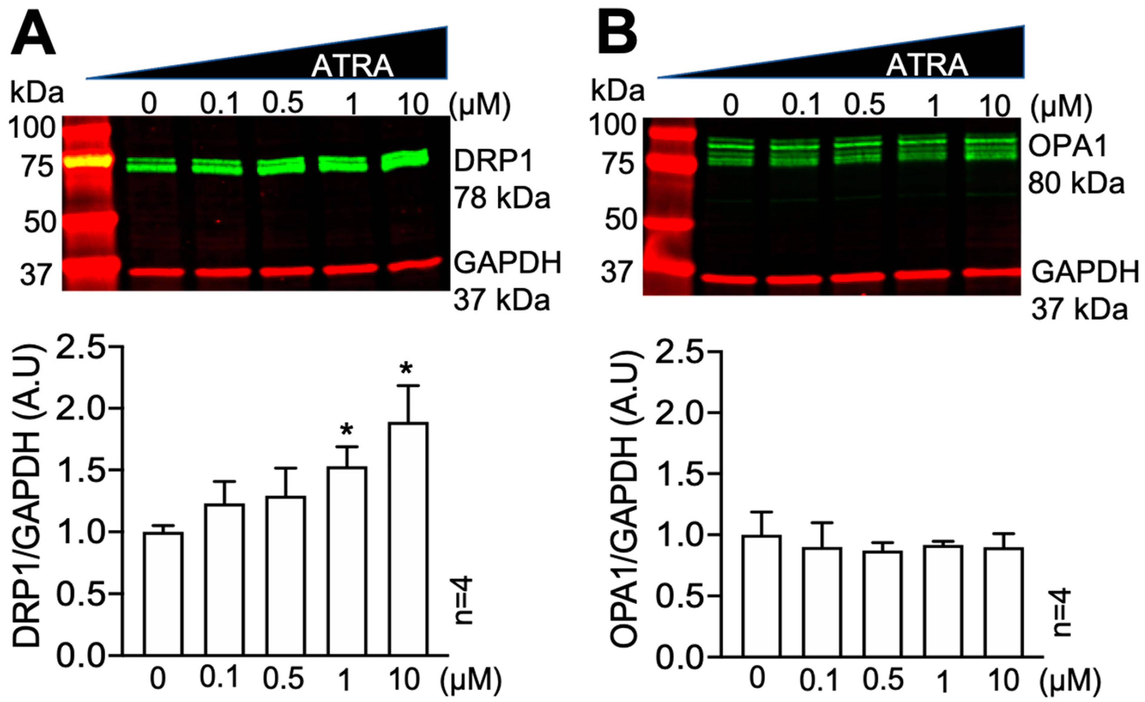 Cells 10 01202 g001 Cells 10 01202 g001