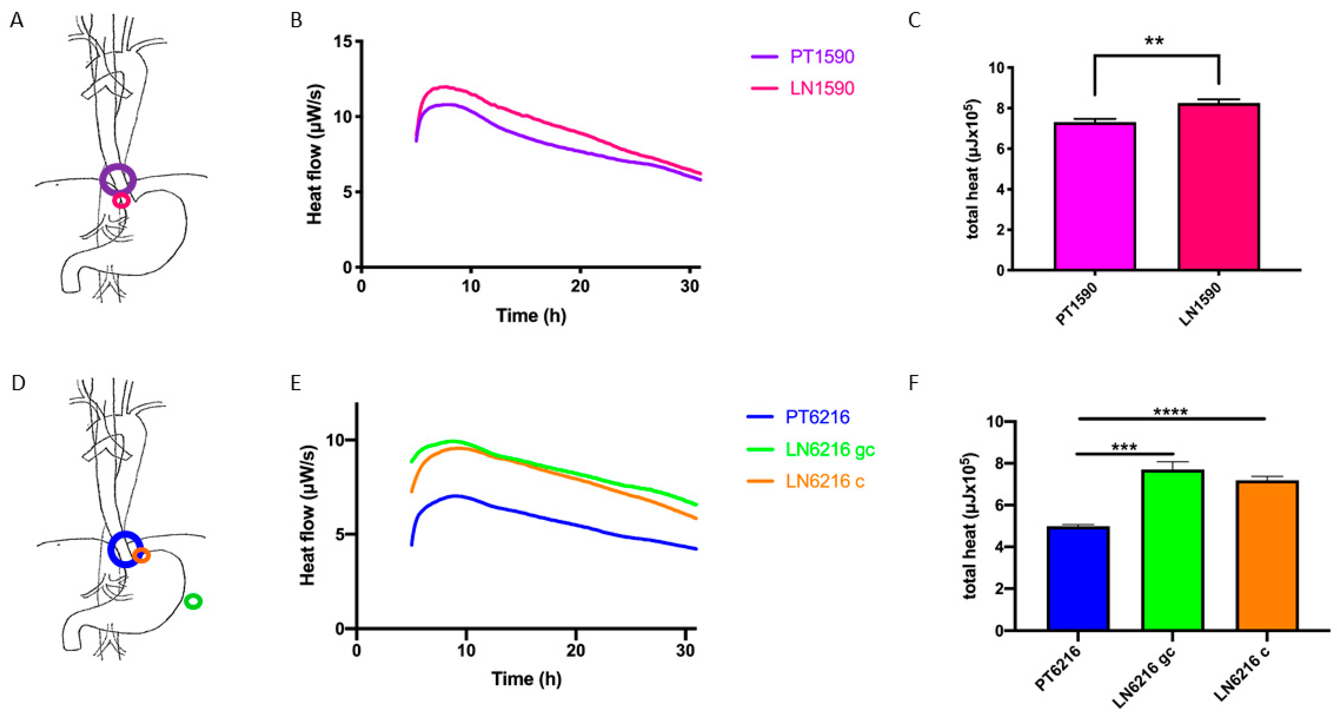 Cells 10 01213 g001 Cells 10 01213 g001