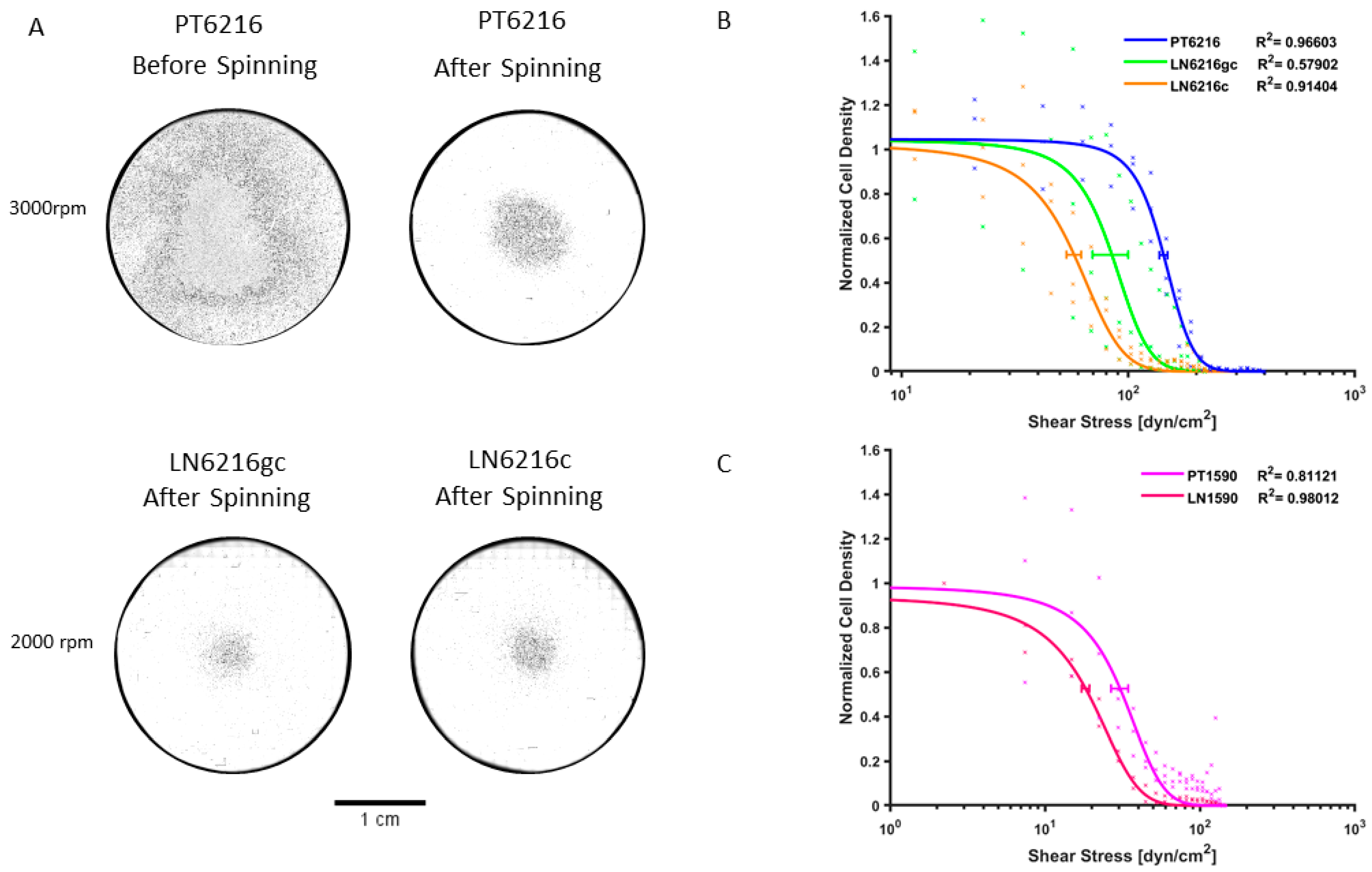 Cells 10 01213 g002 Cells 10 01213 g002