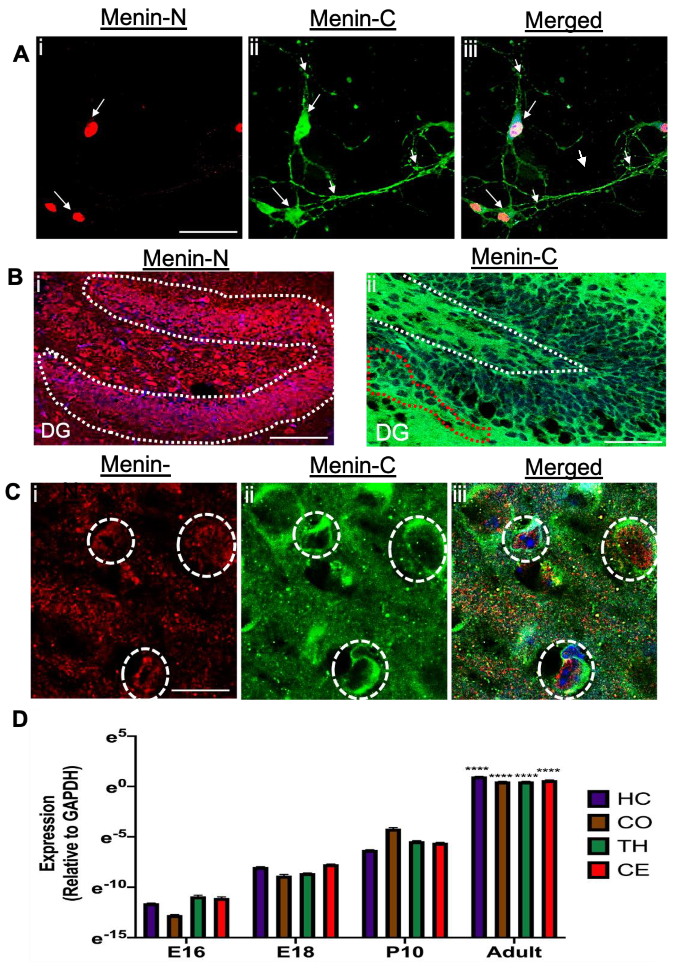 Cells 10 01215 g002 Cells 10 01215 g002