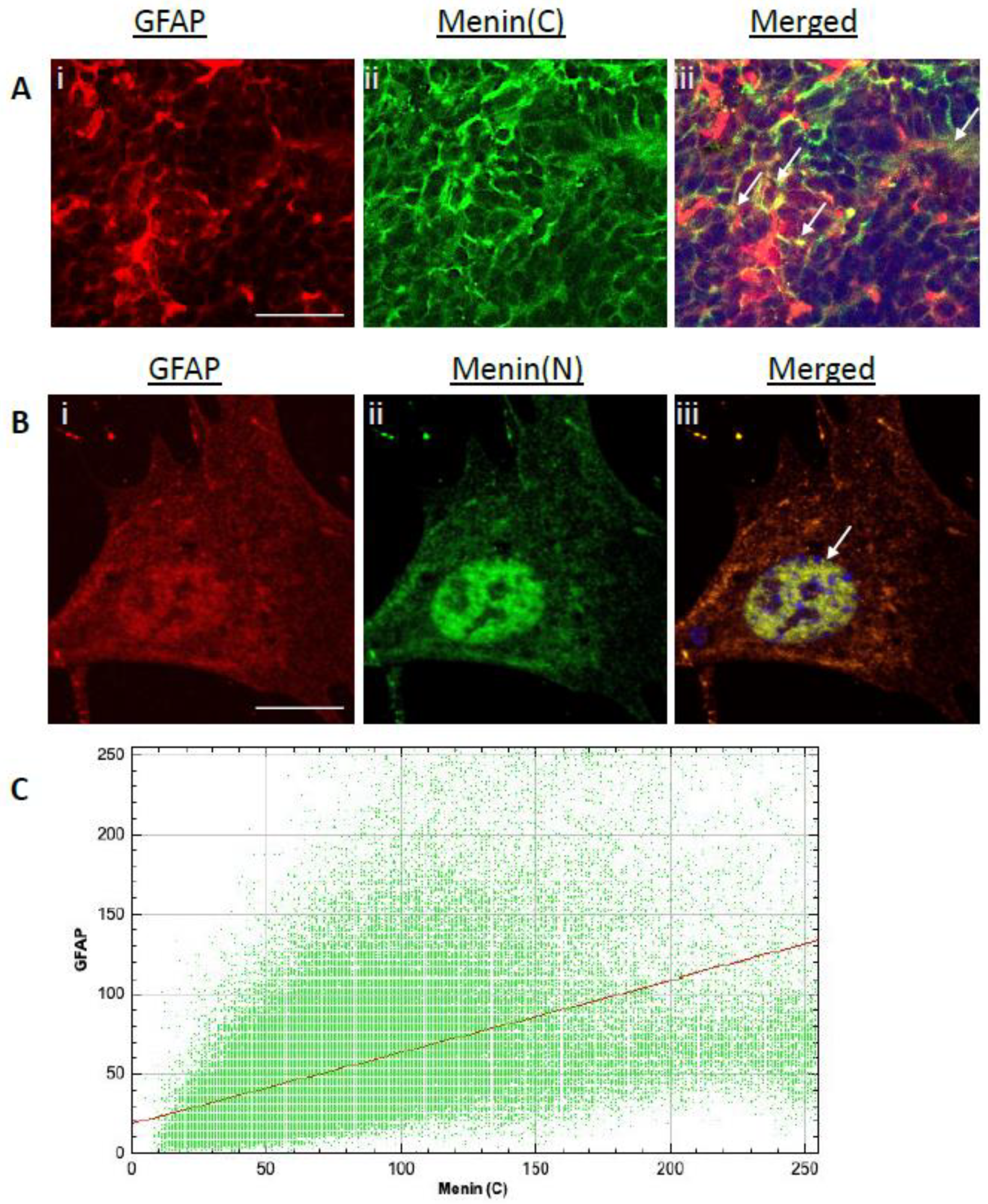 Cells 10 01215 g004 Cells 10 01215 g004